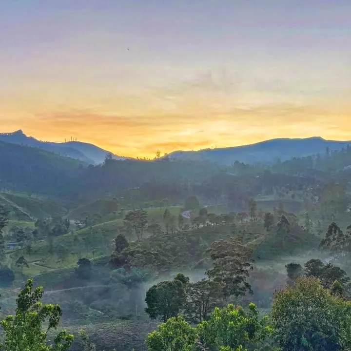 Bel View Guest House