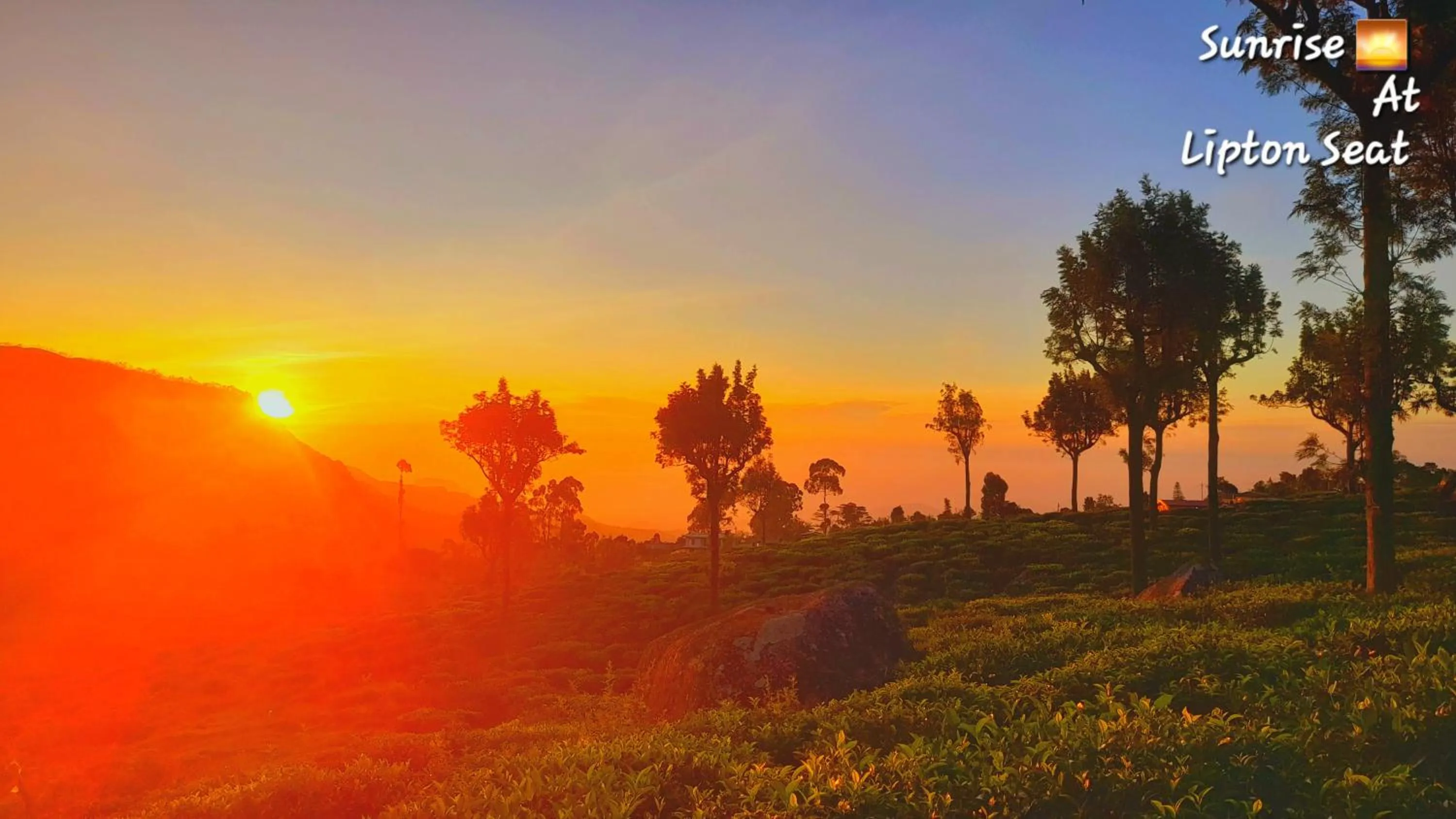 Bel View Guest House