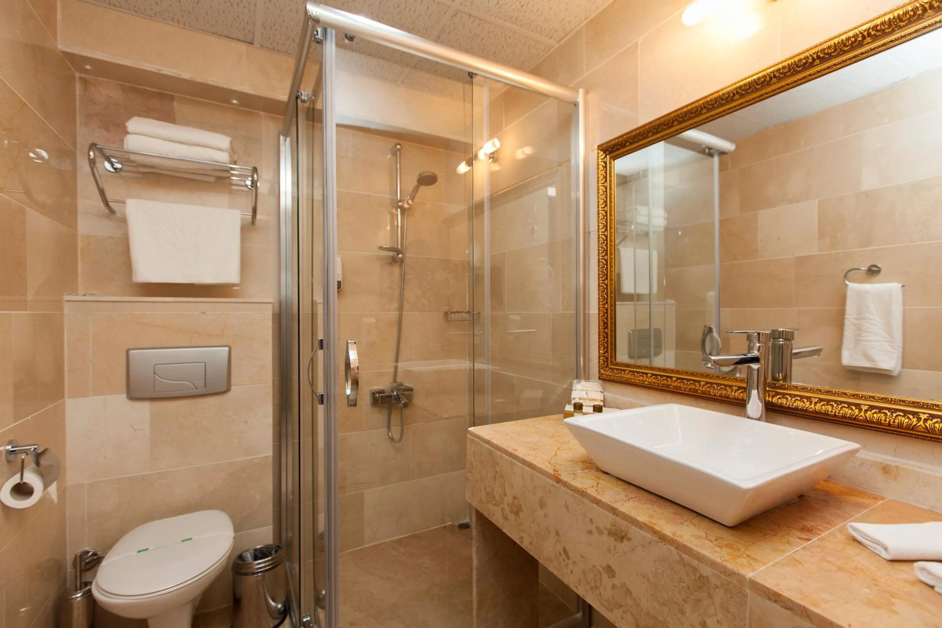 Shower in Alrazi Hotel