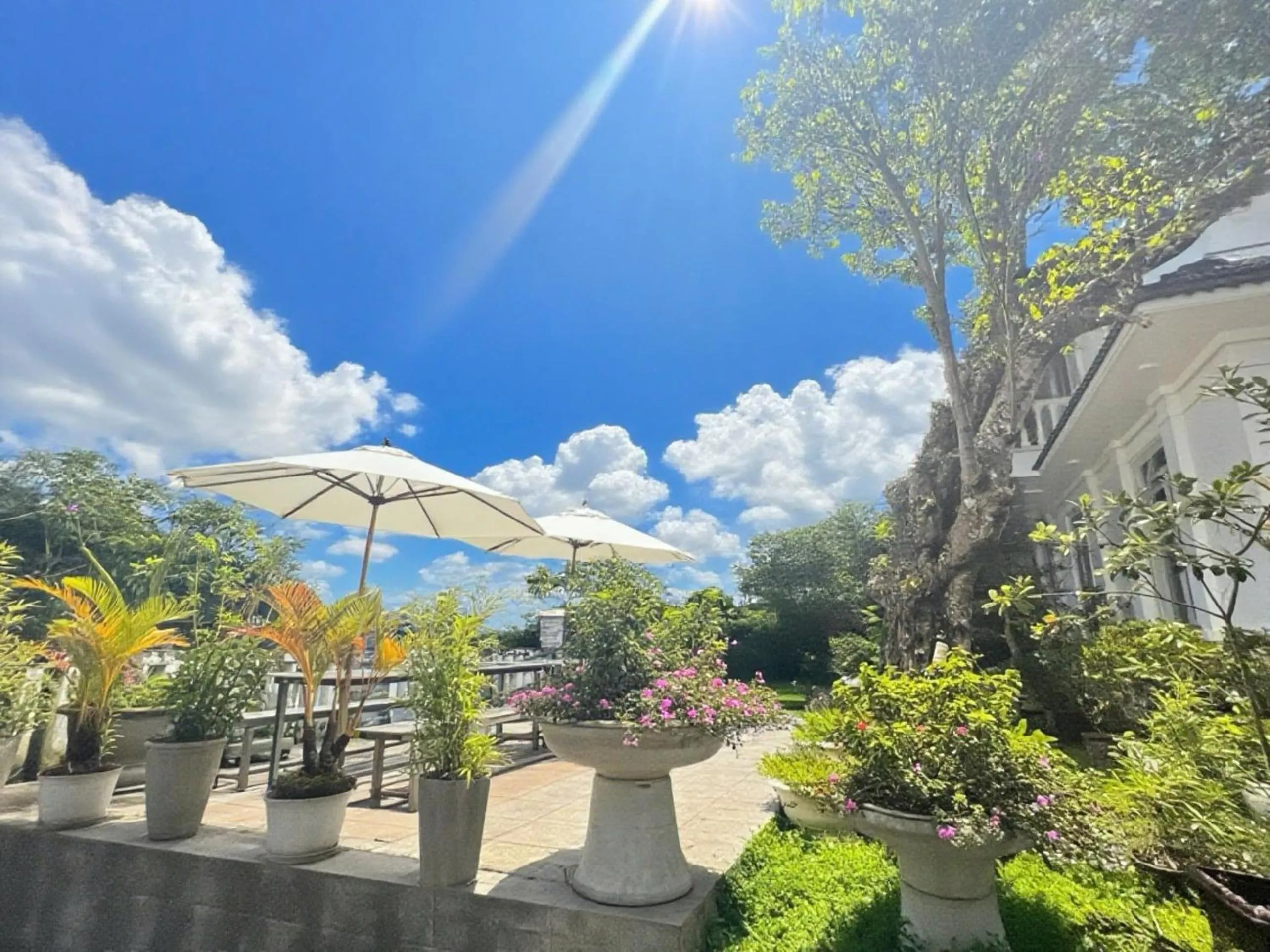 Day in Lan Viên Villa
