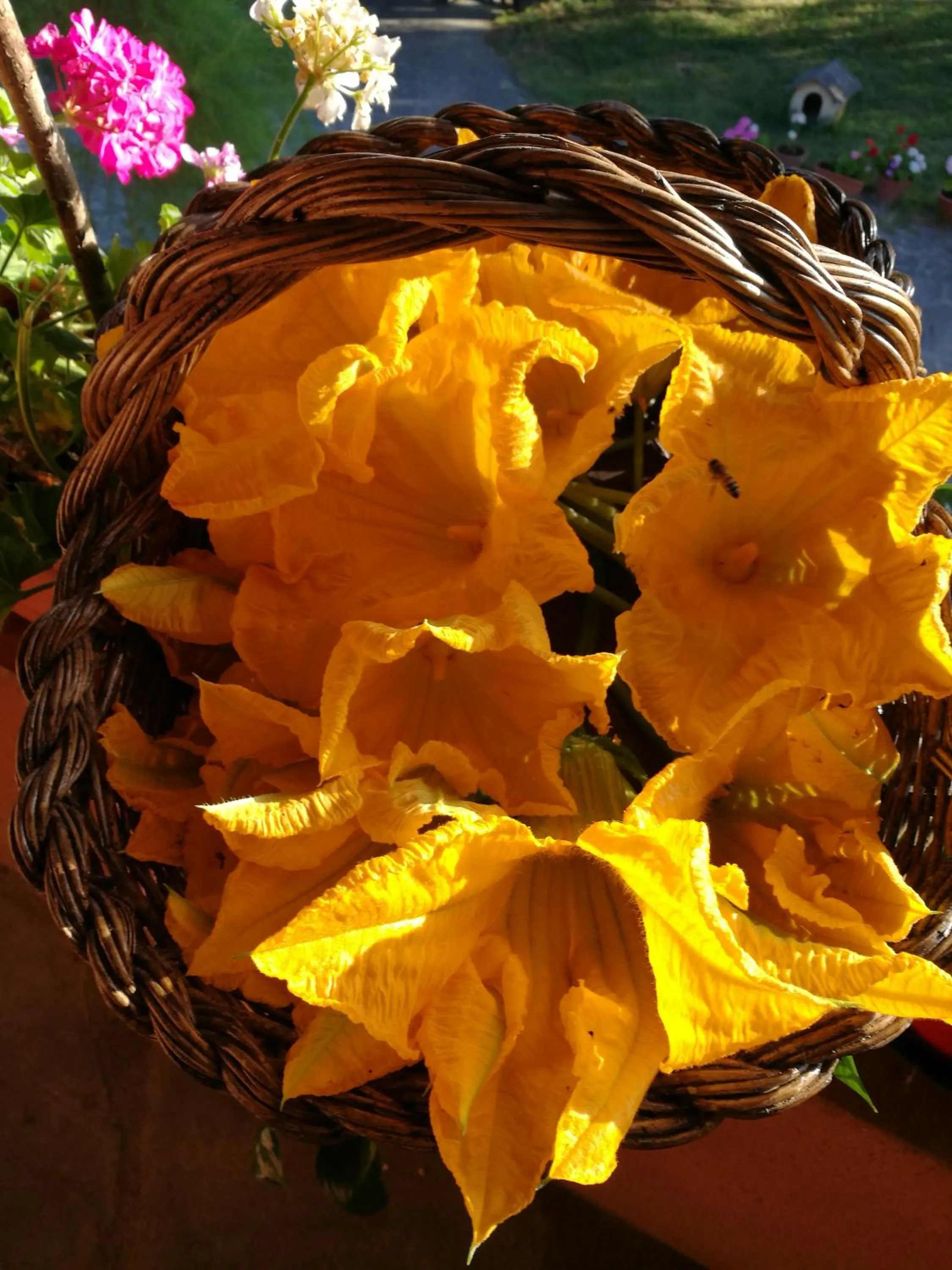 Food in Hotel Piccola Firenze