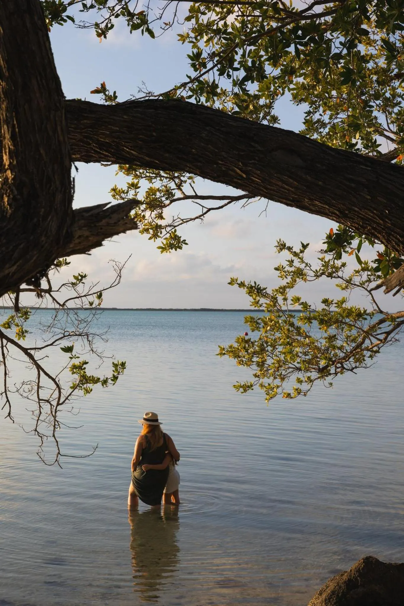 Restaurant/places to eat in Playa Largo Resort & Spa, Autograph Collection