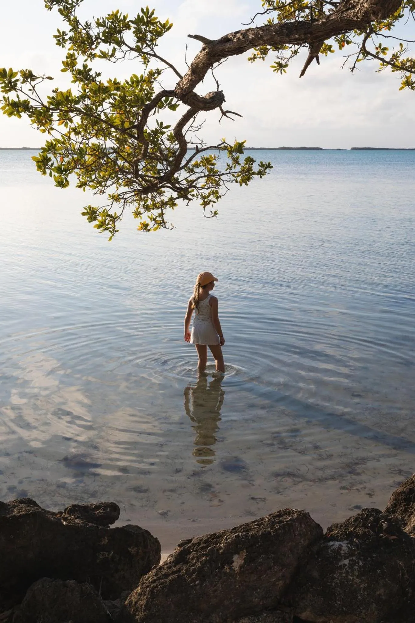 Restaurant/places to eat in Playa Largo Resort & Spa, Autograph Collection