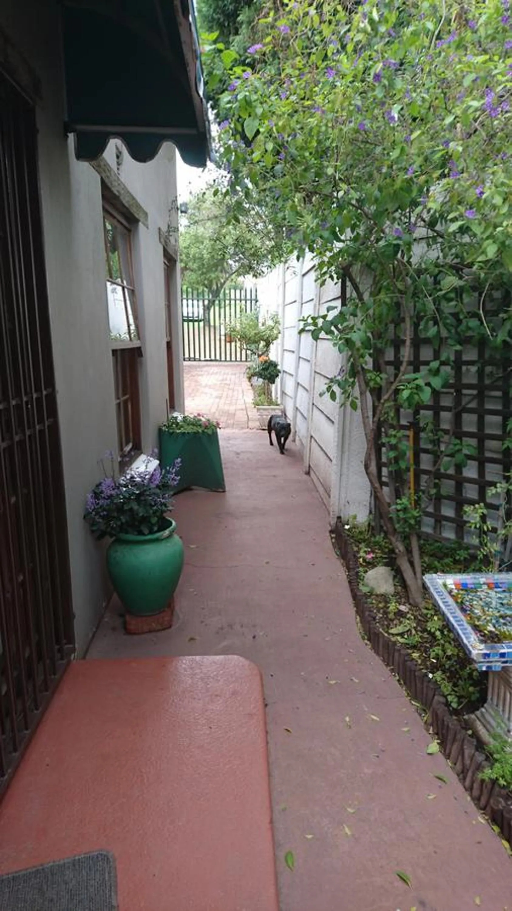 Garden in By Appointment Suites