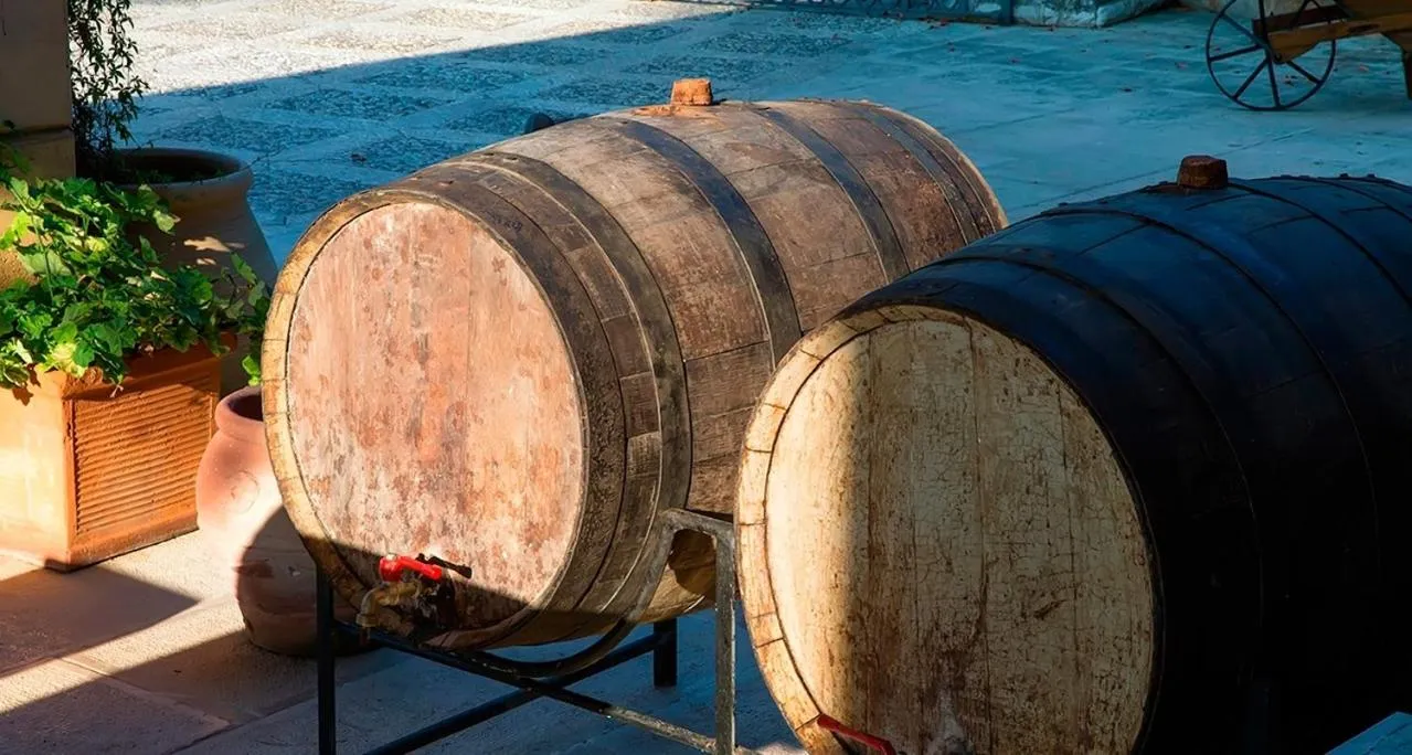 Other in Poggio di mare