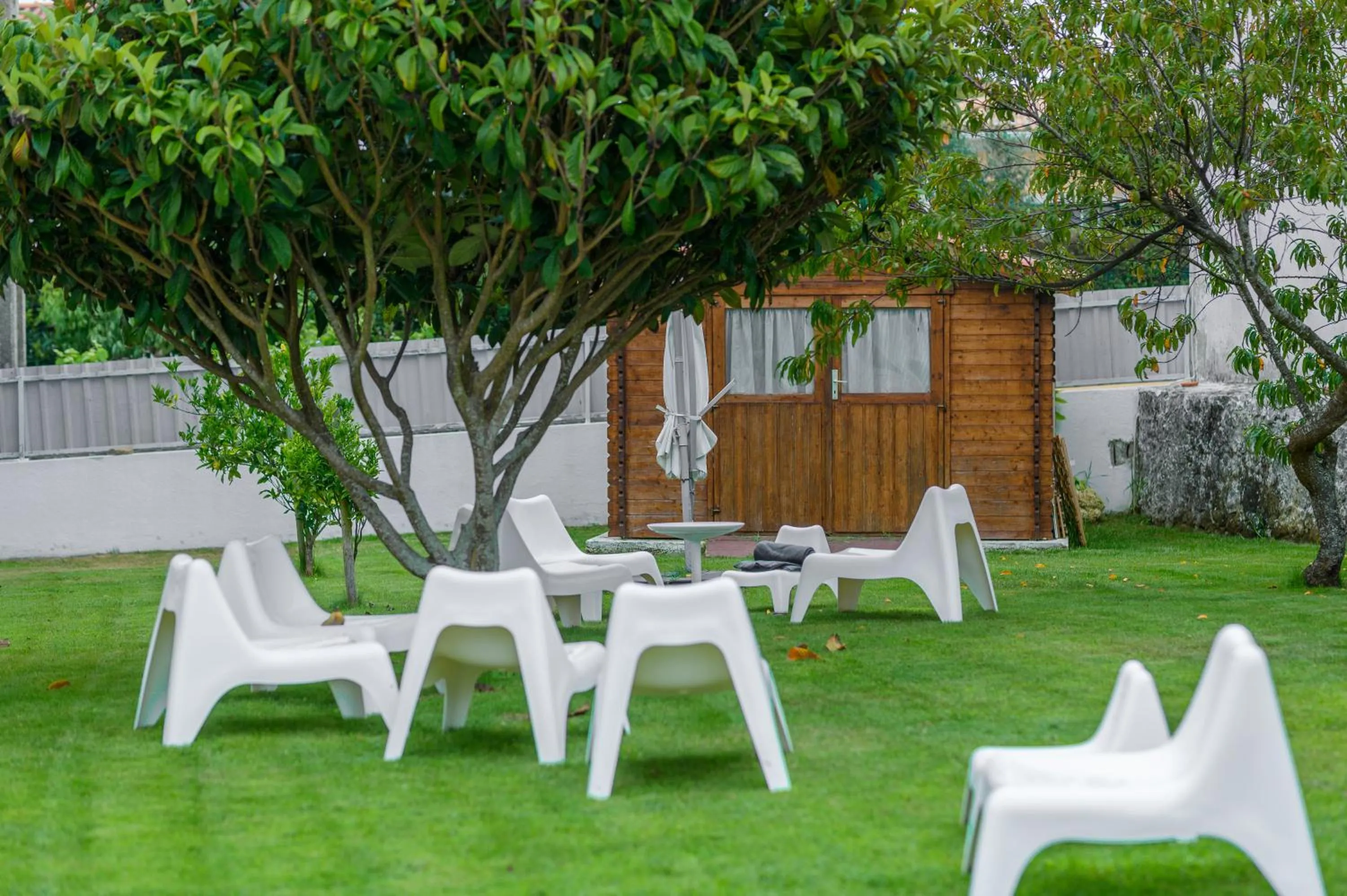 Garden view in Casa das Hortênsias - Charming Guest House