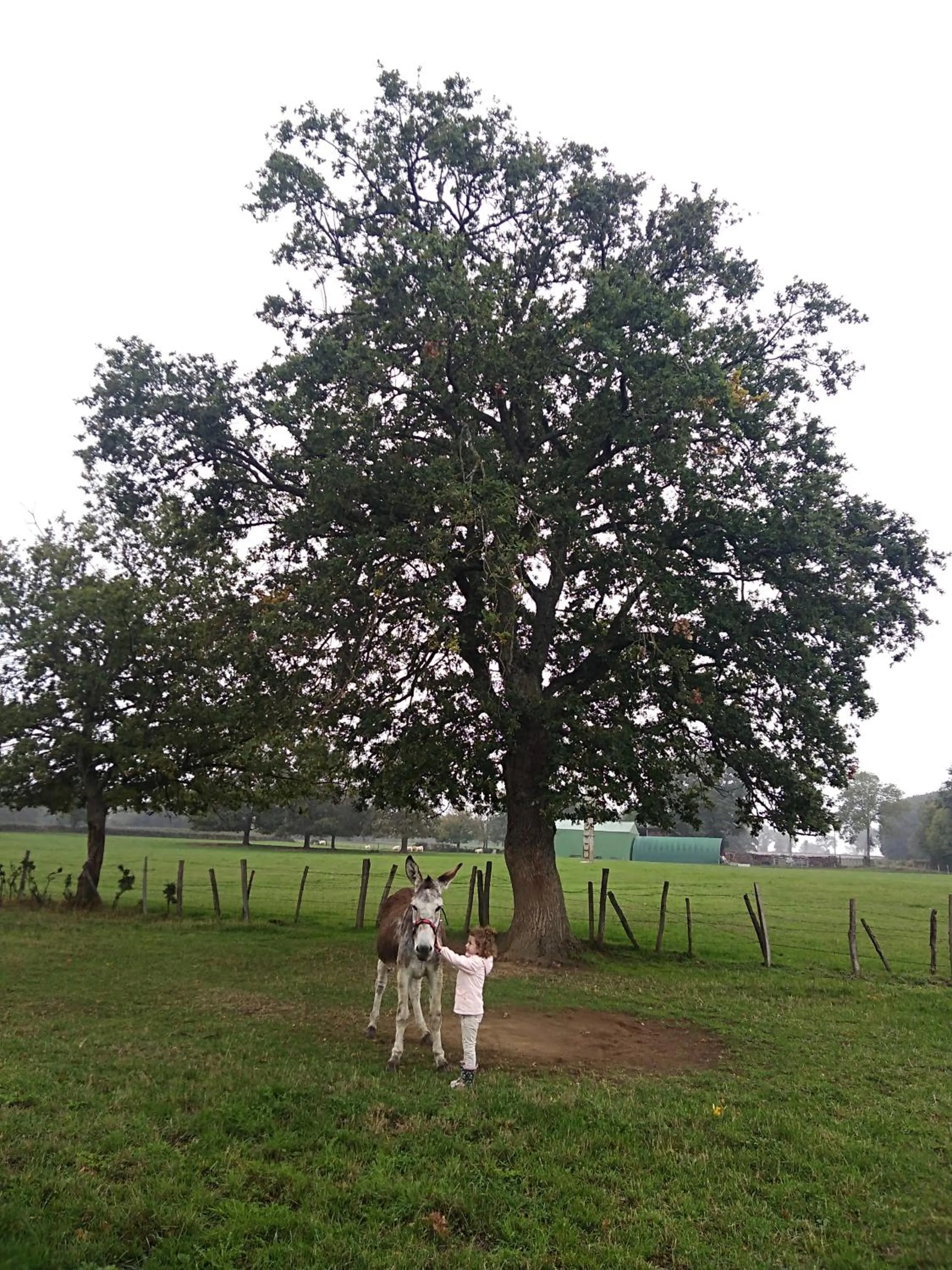 People in Les Maitres Sonneurs