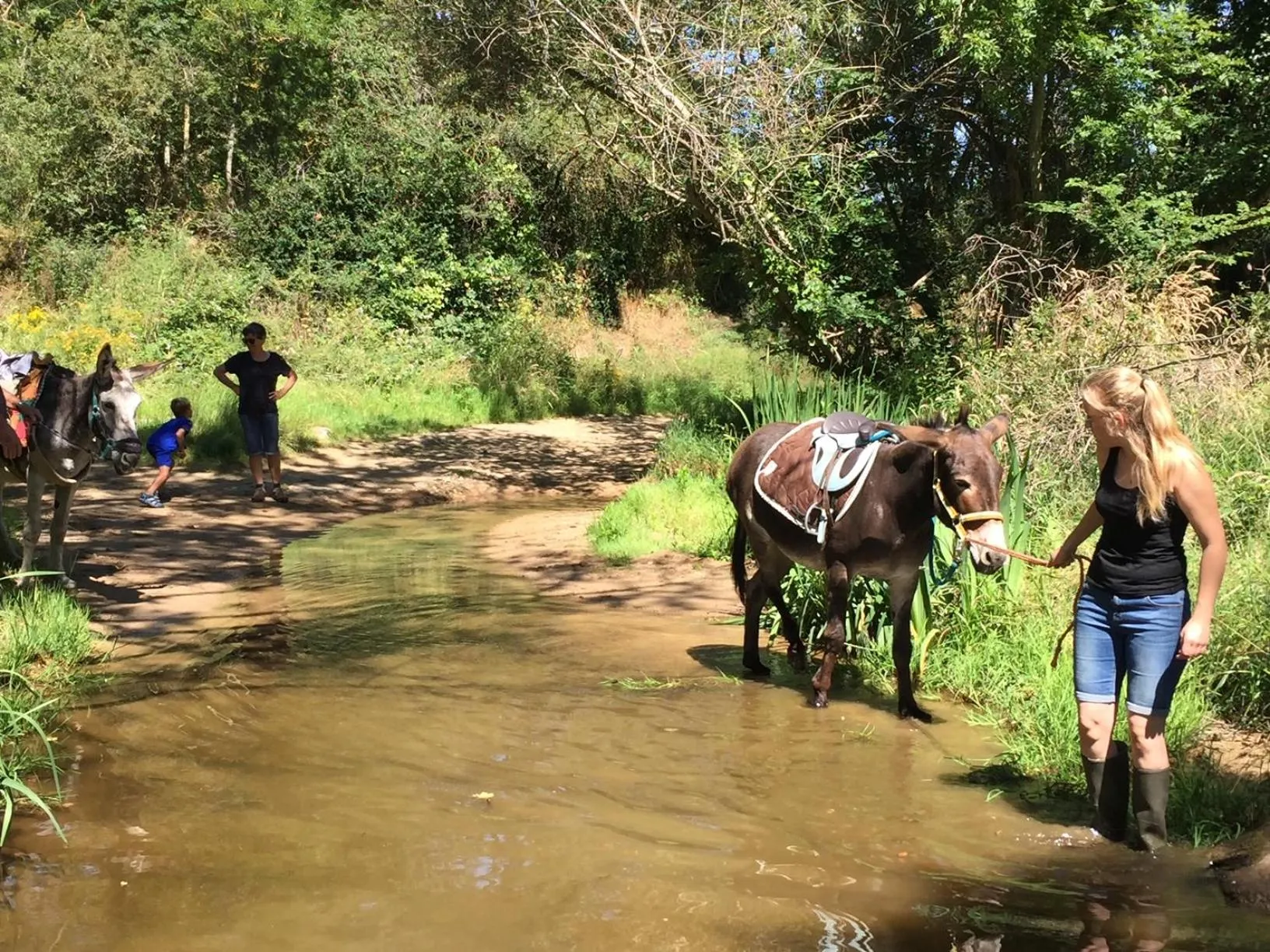 Day in Les Maitres Sonneurs