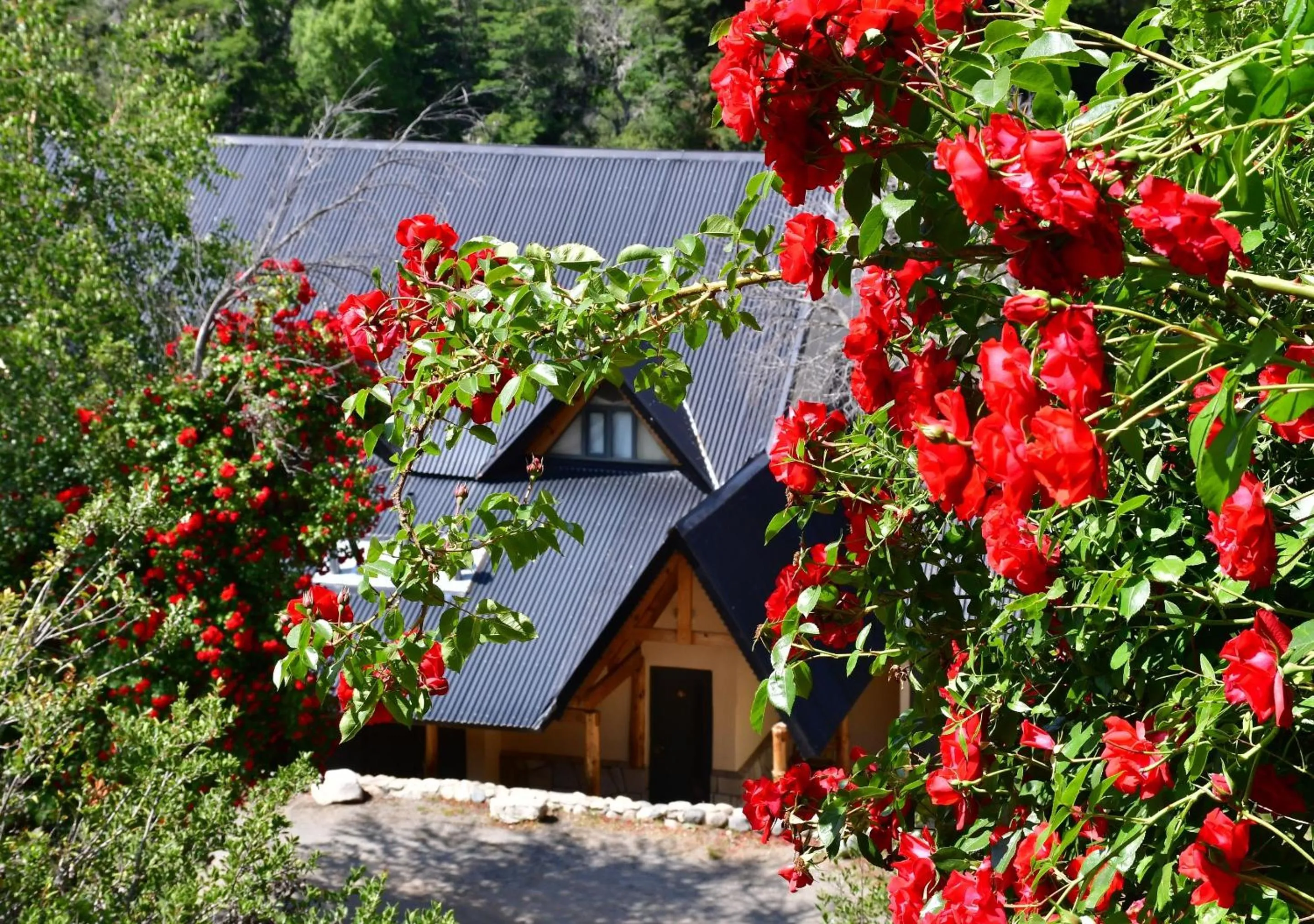 Property building in Aparts La Balconada by DOT Suites