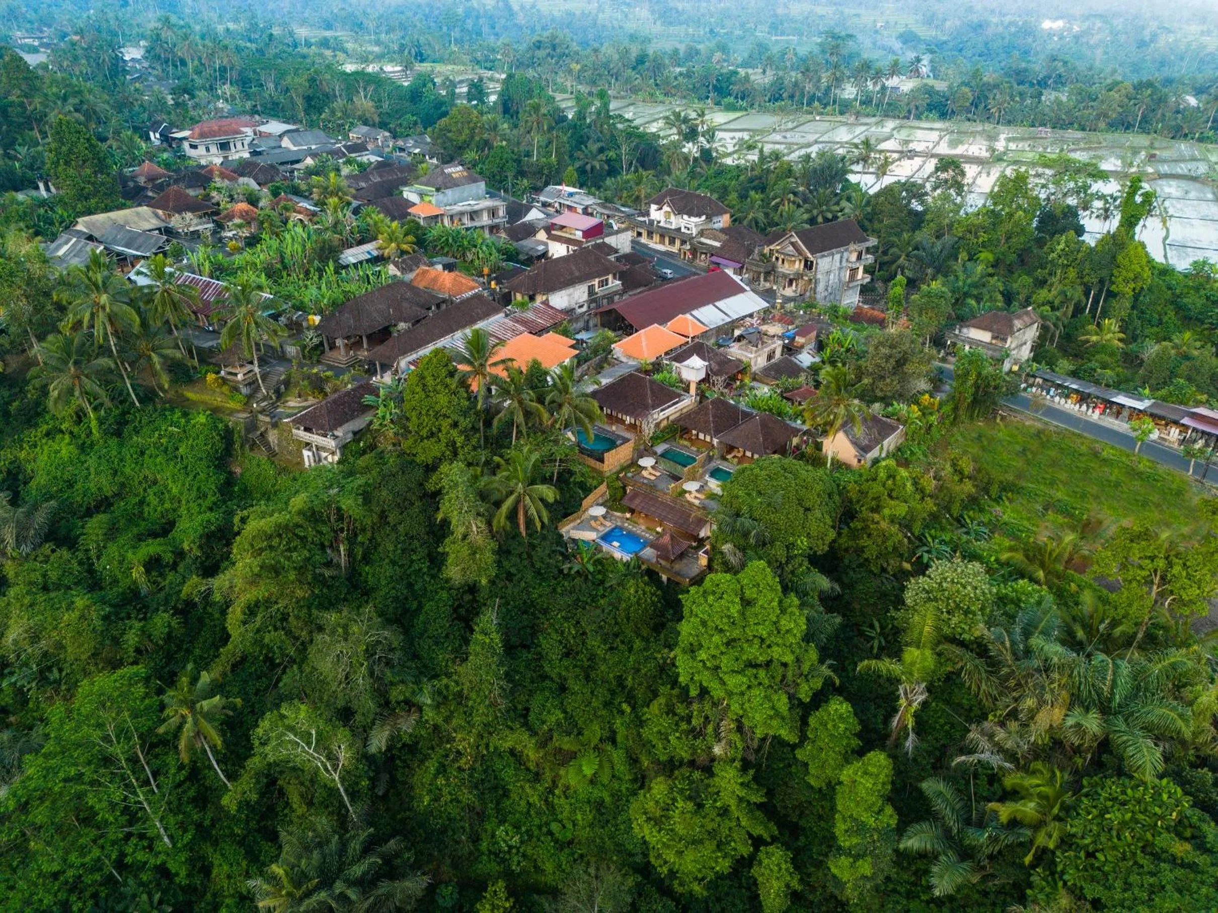 Natural landscape in Bela's Vana Villa Ubud by Dhananjaya Hospitality