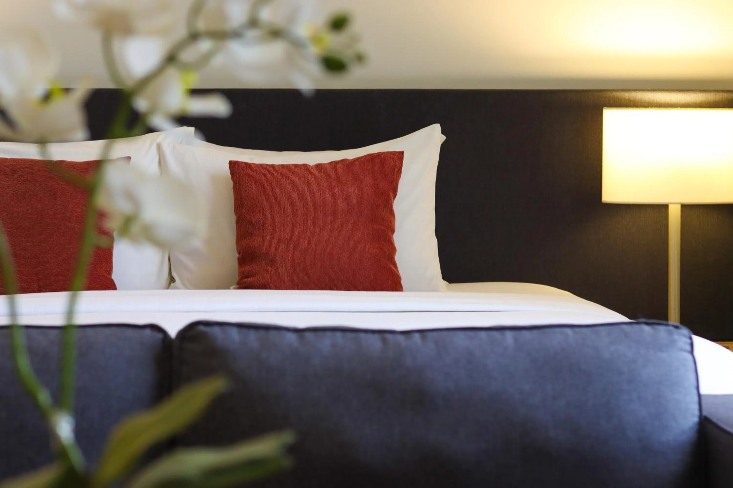 Bed in Privato Quezon City