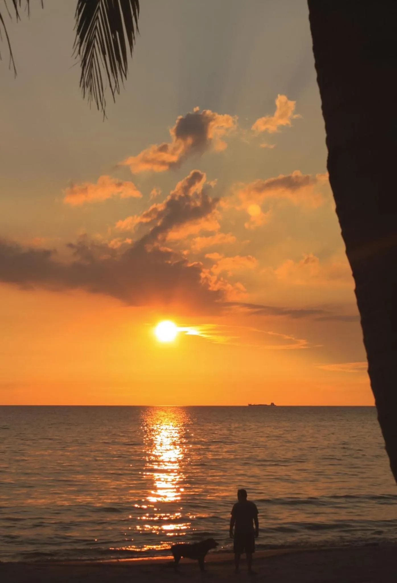 The Waterfront Beach Resort