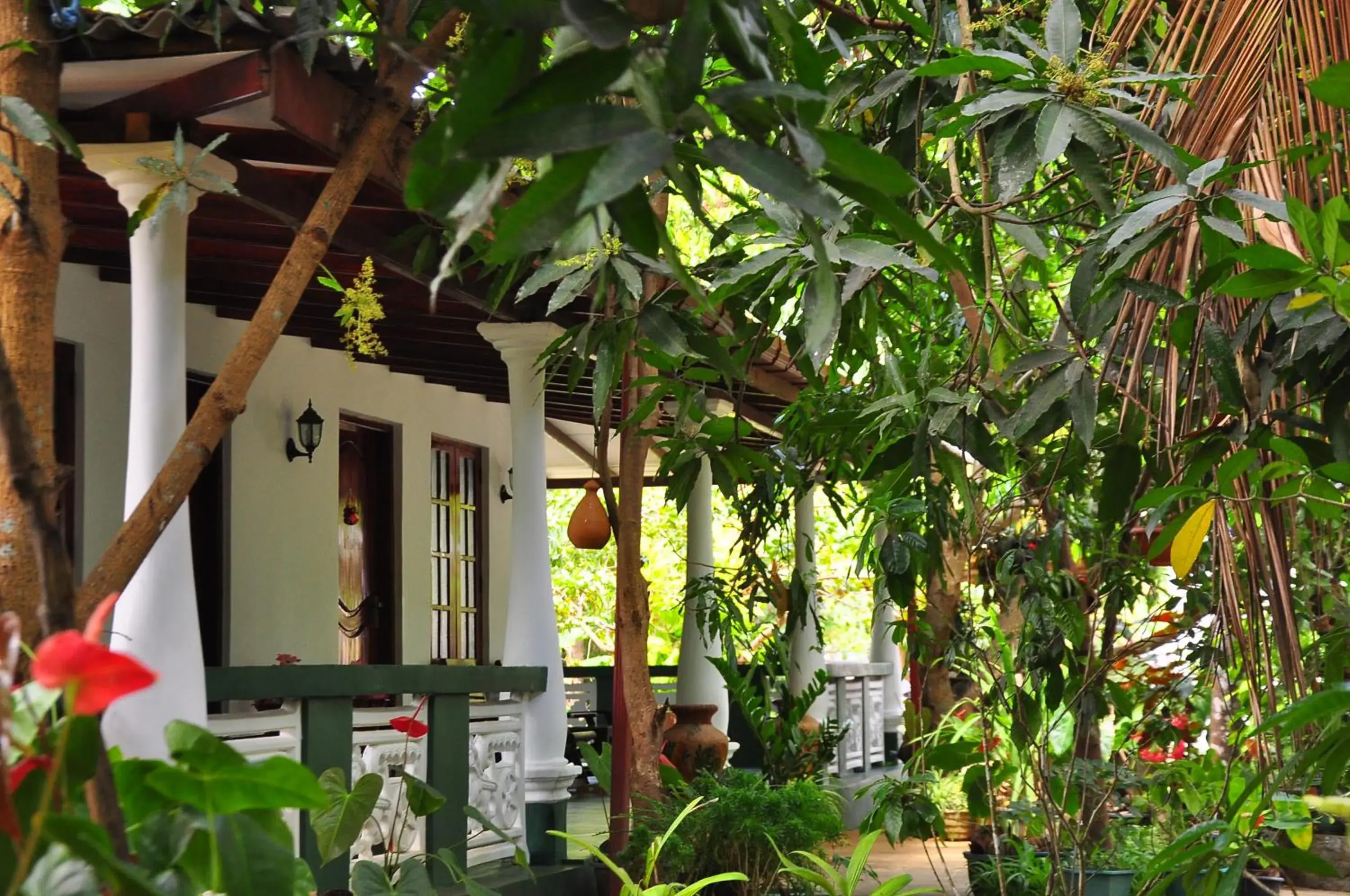 Sigiri Rock Side Home Stay Sigiri Rock Side Home Stay