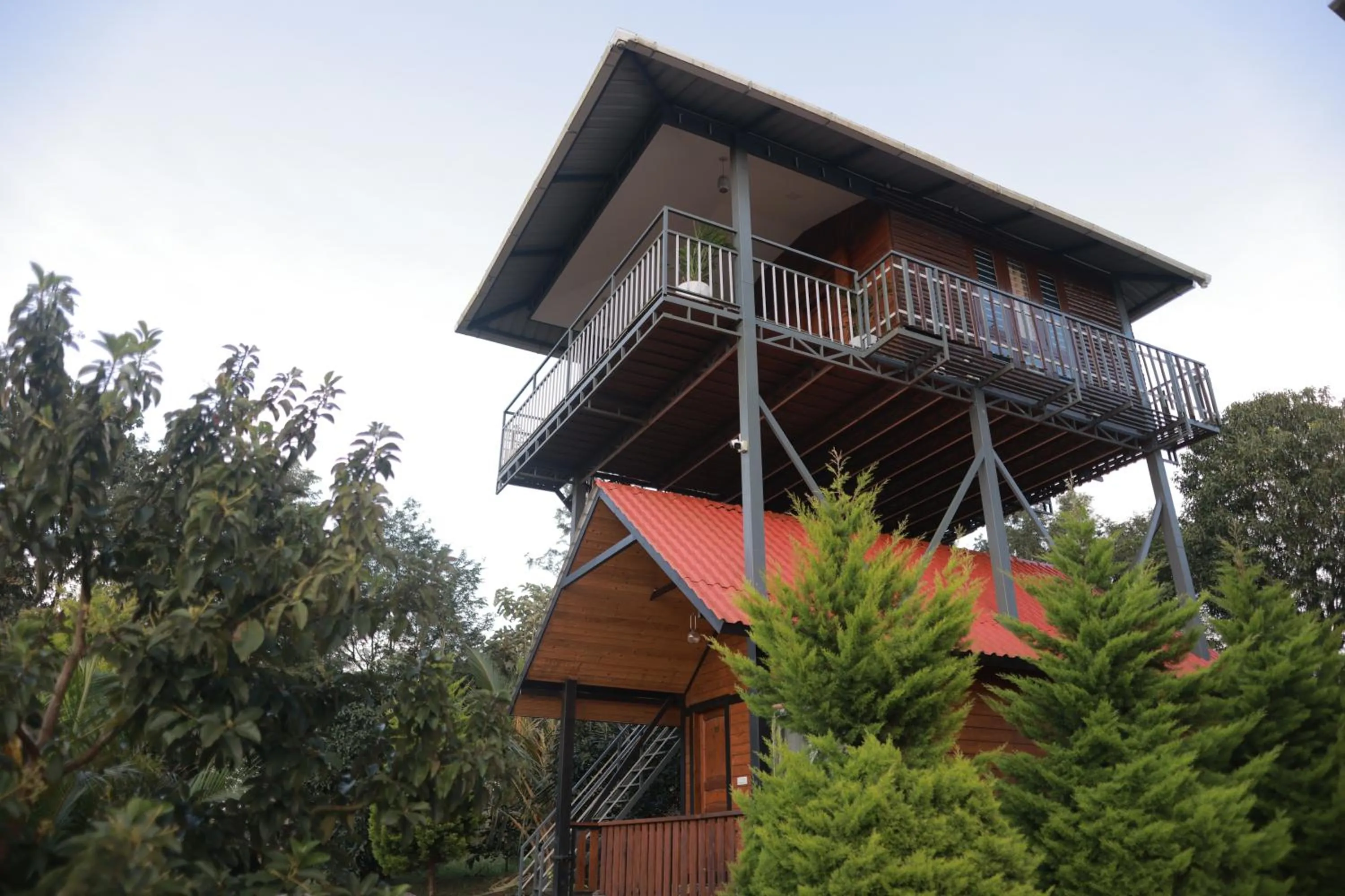 Property building in Coorg Riverness Resort