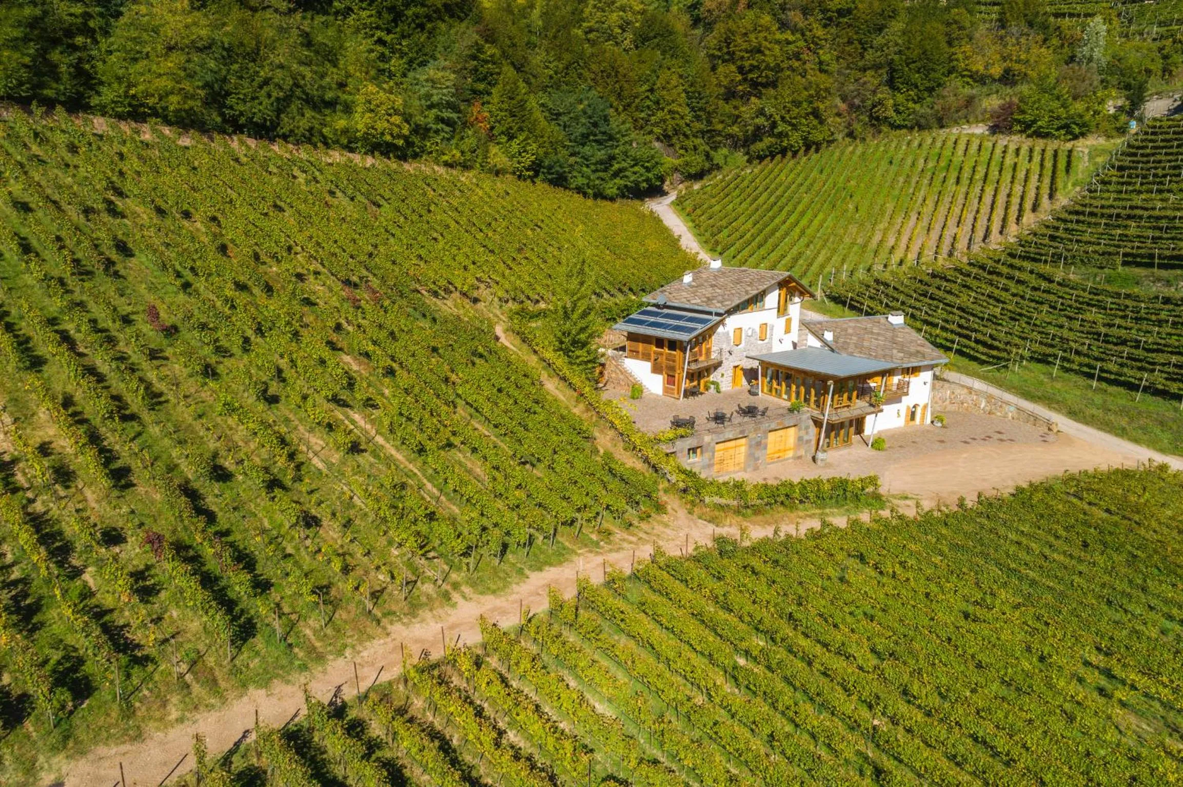 Five-Bedroom House in Agriturismo Maso Besleri