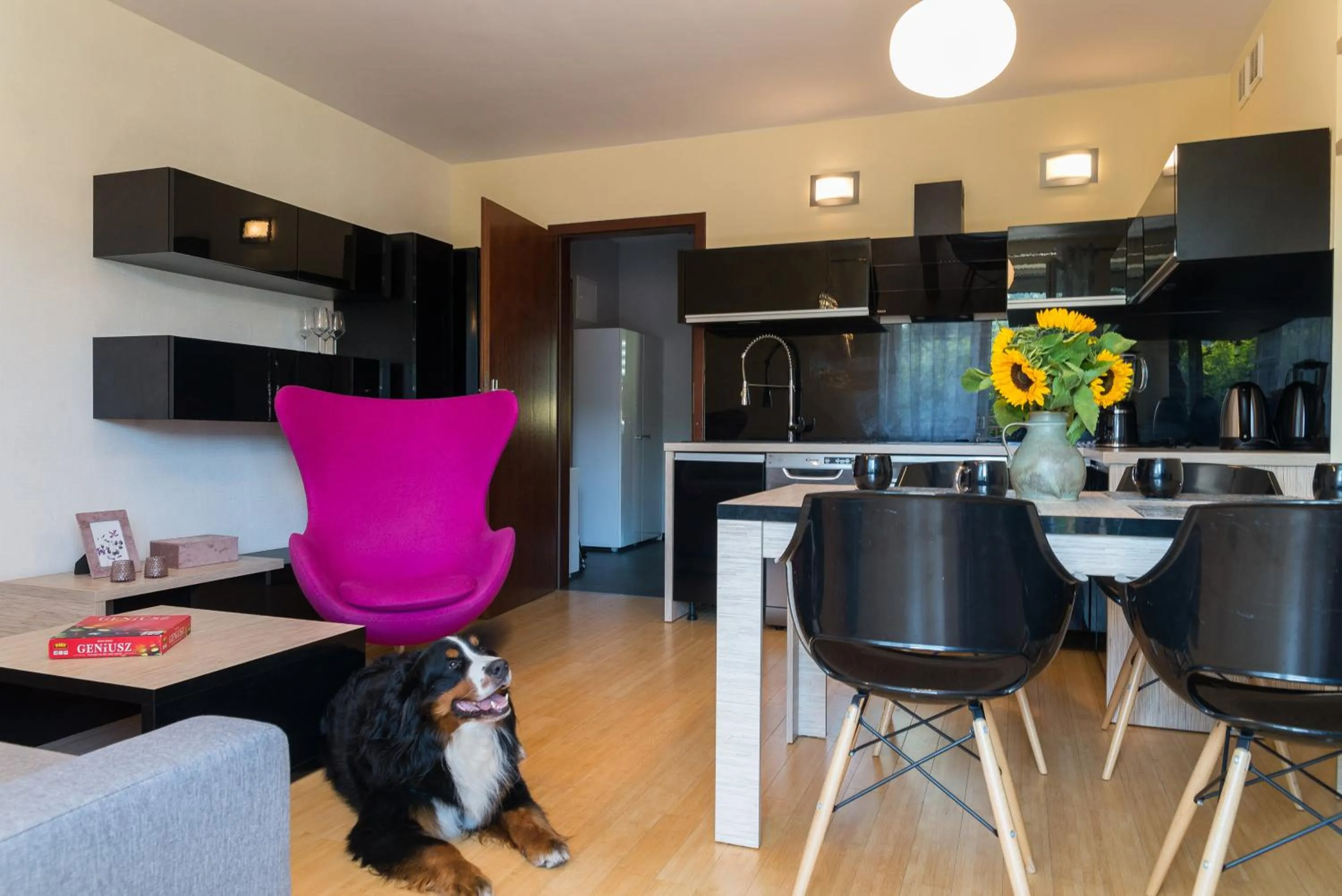 TV and multimedia in Apartament Na Urlop - Wisła Sarnia - apartament przyjazny zwierzętom