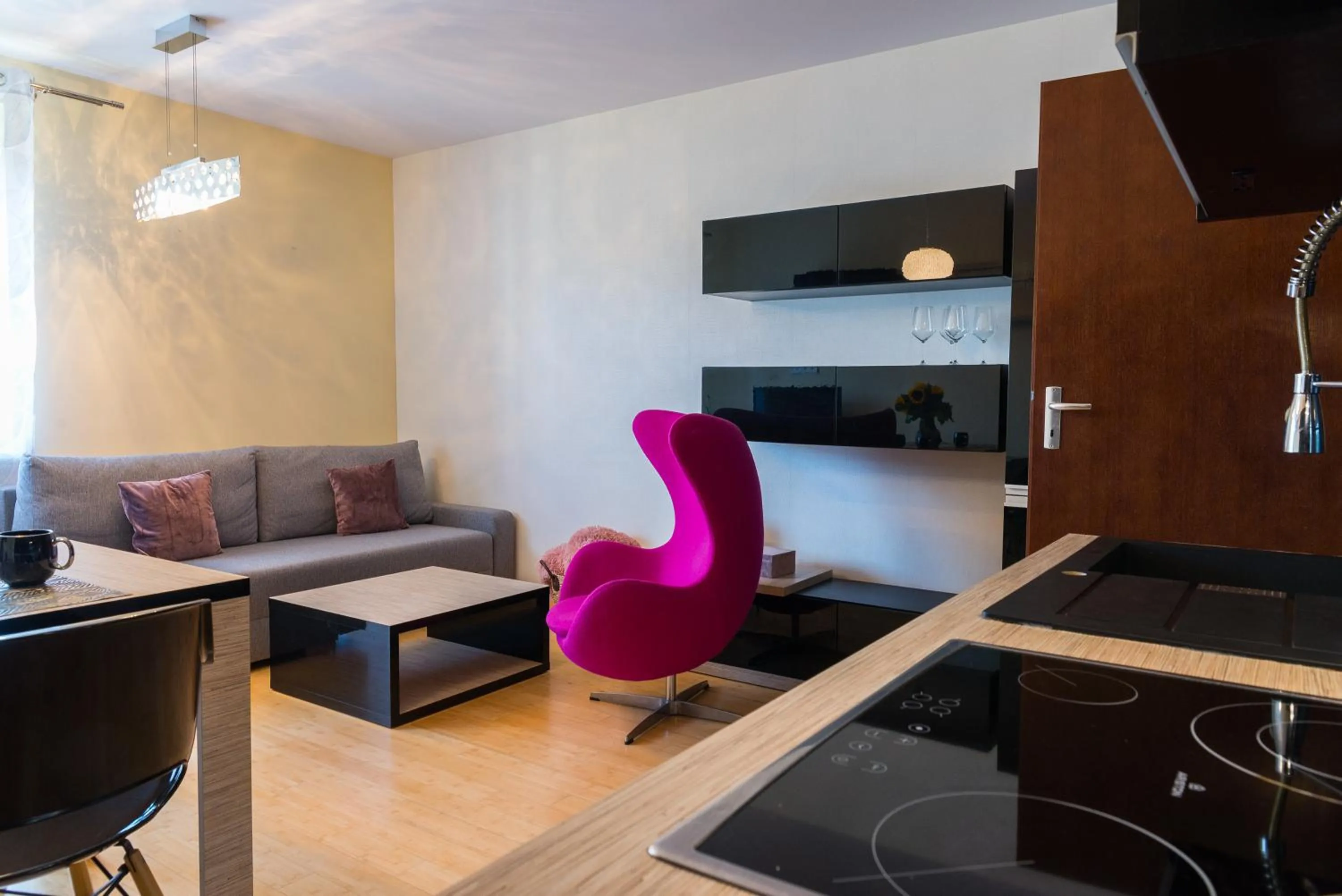 TV and multimedia in Apartament Na Urlop - Wisła Sarnia - apartament przyjazny zwierzętom