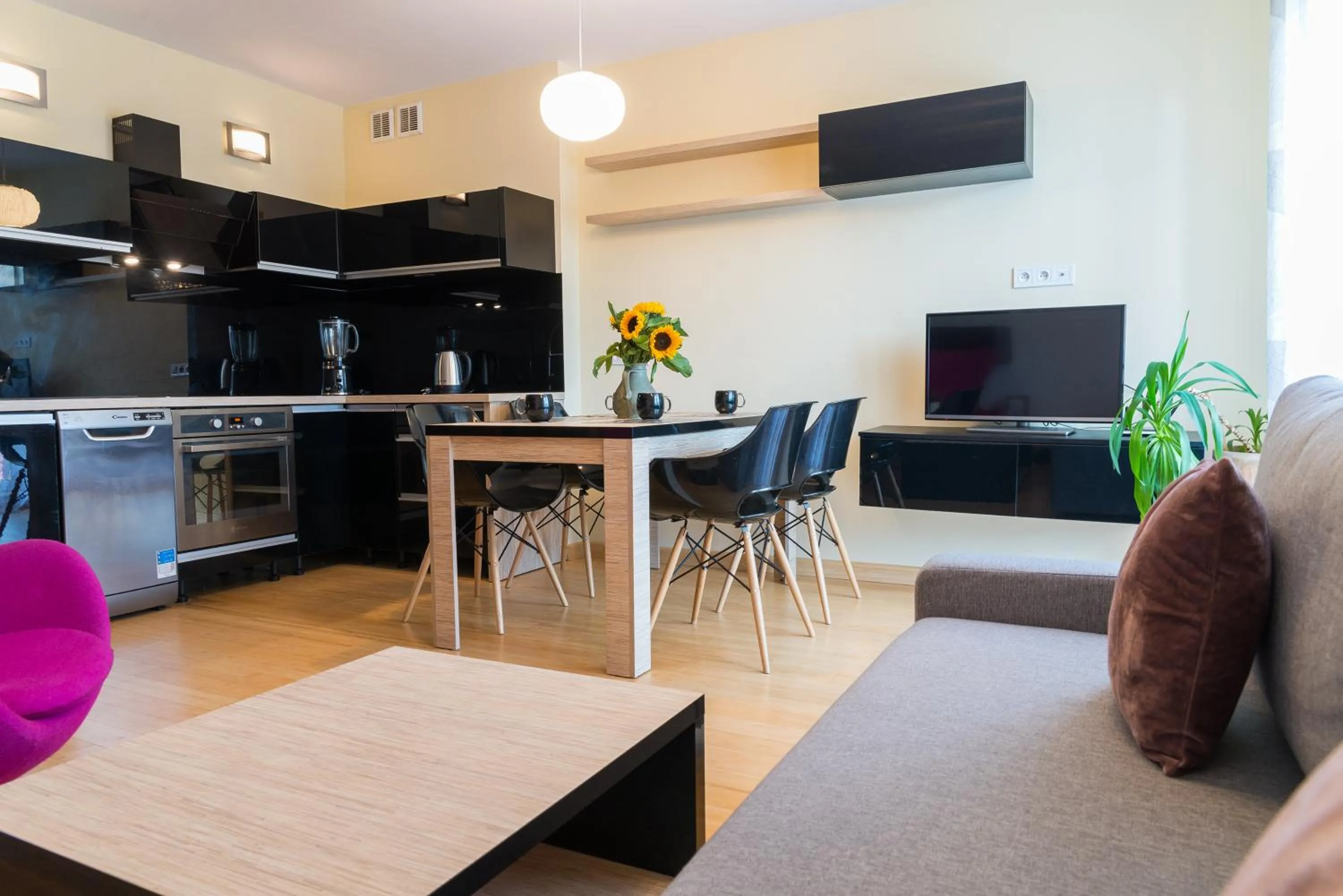 TV and multimedia in Apartament Na Urlop - Wisła Sarnia - apartament przyjazny zwierzętom