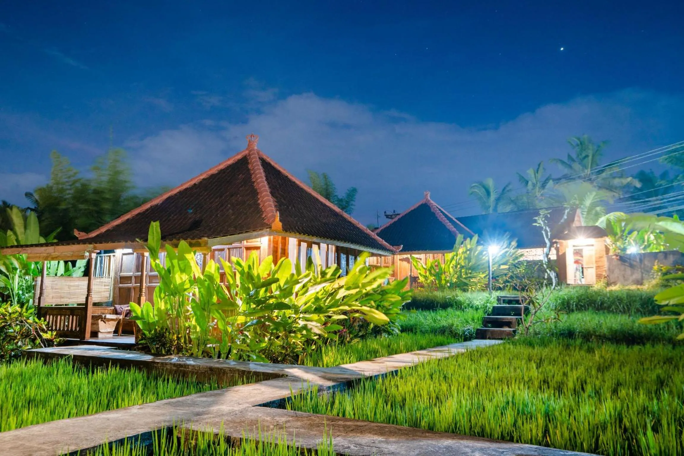 Ubud Sawah Scenery Villa and Homestay