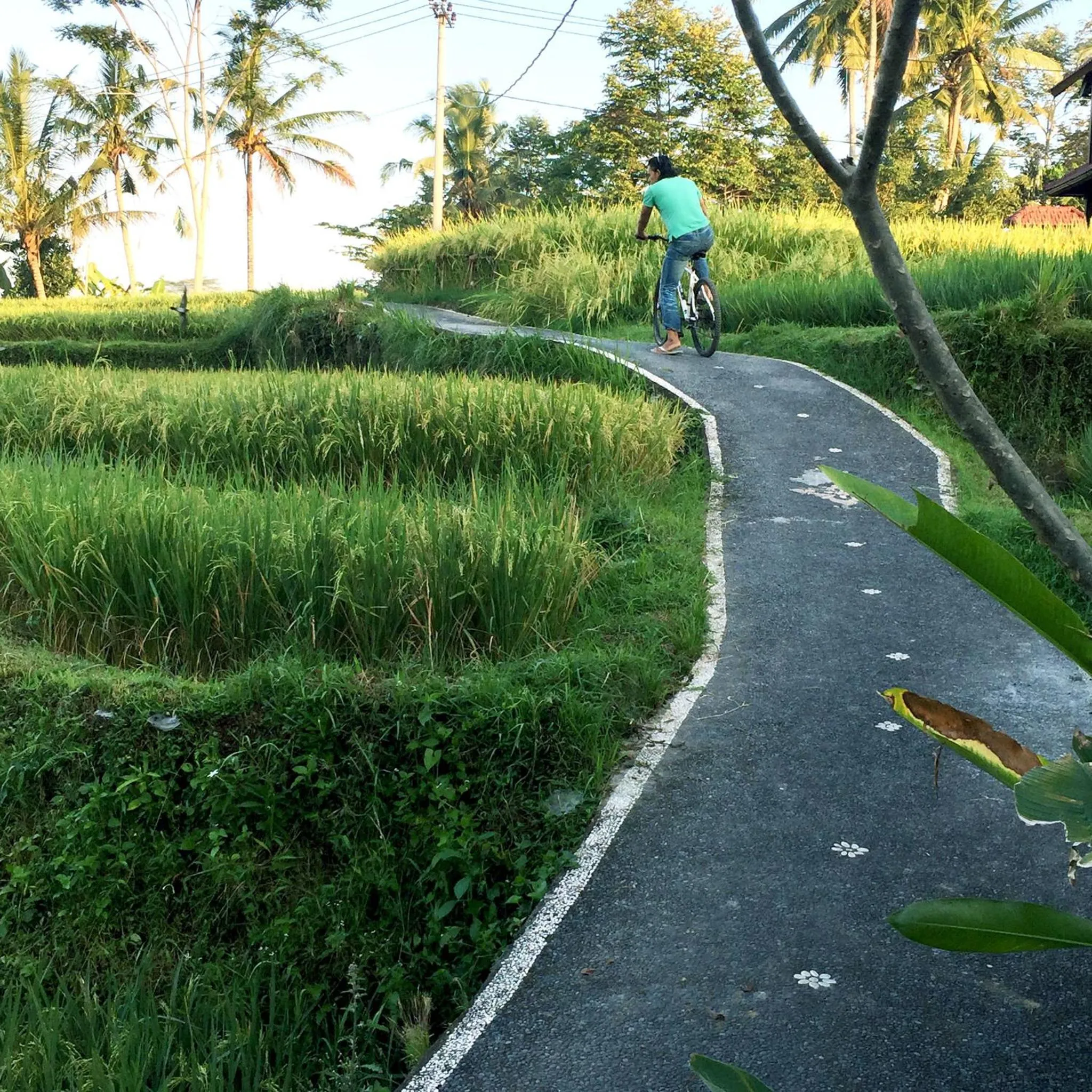 Day in Ubud Sawah Scenery Villa and Homestay