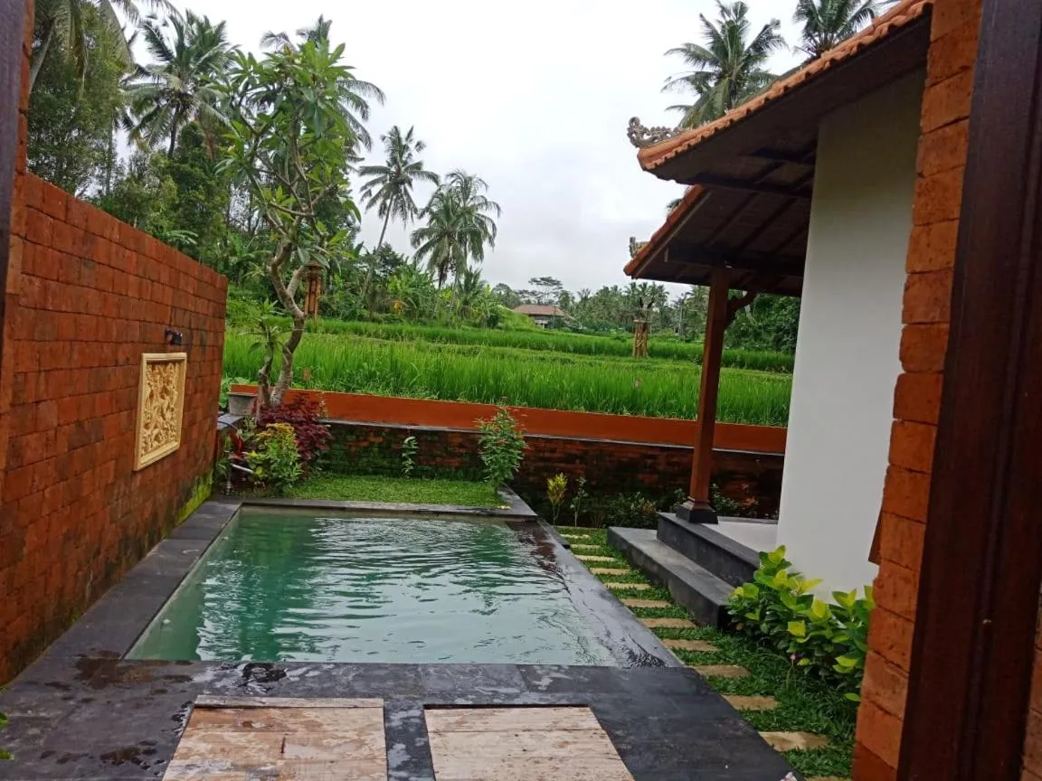Swimming pool in Ubud Sawah Scenery Villa and Homestay