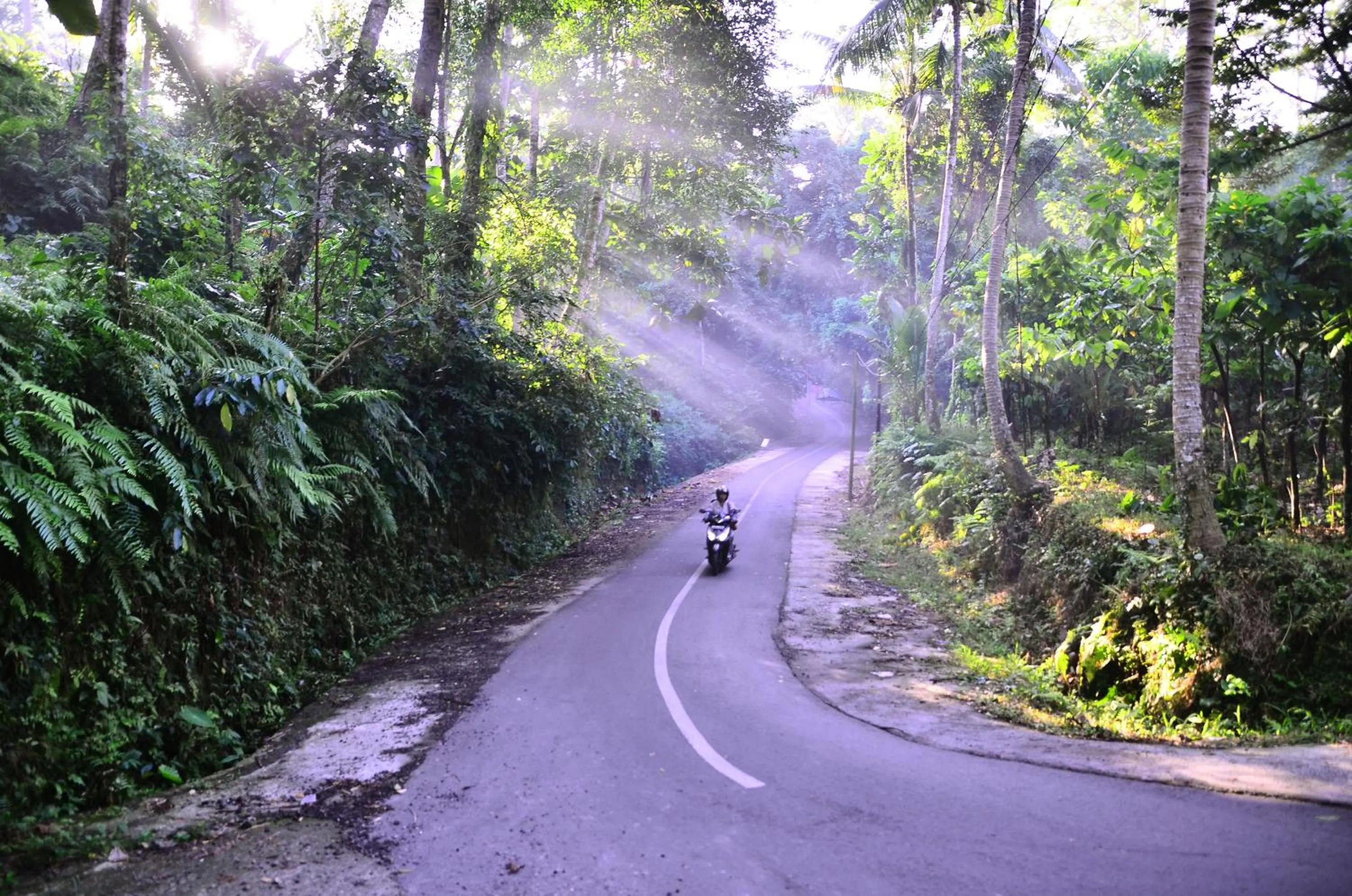 People in Ubud Sawah Scenery Villa and Homestay