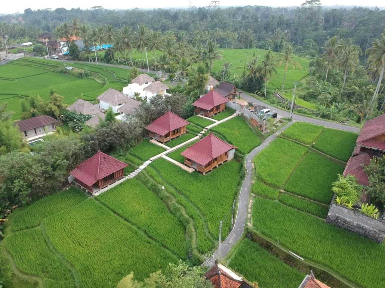 Bird's eye view in Ubud Sawah Scenery Villa and Homestay