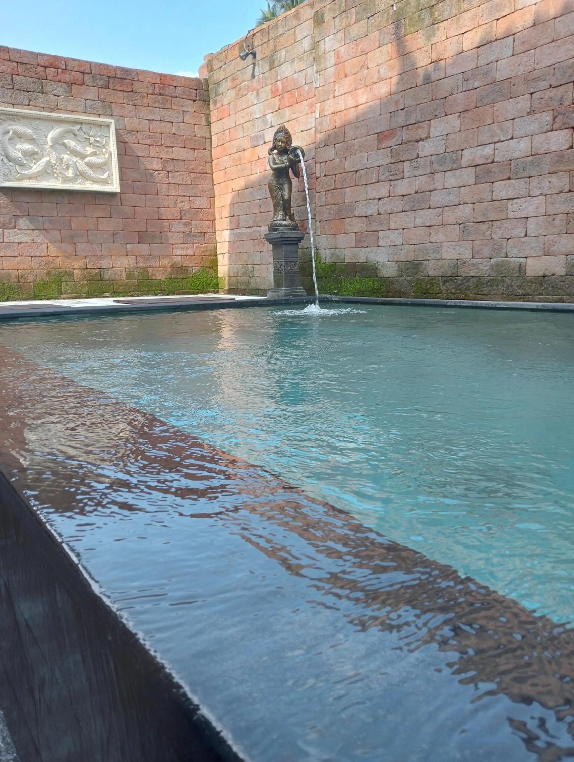 Swimming pool in Ubud Sawah Scenery Villa and Homestay