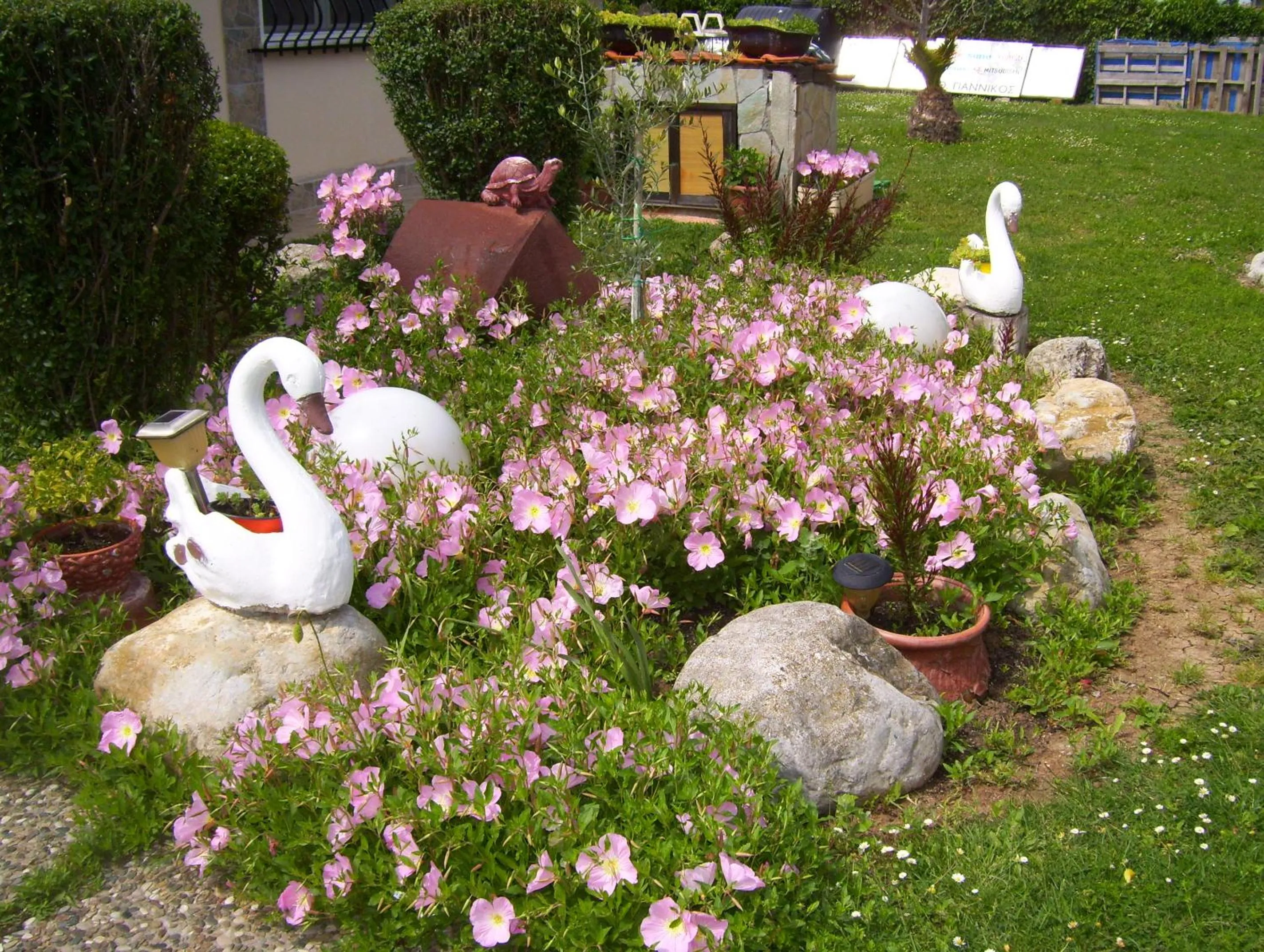 Spring in Verginia Studios