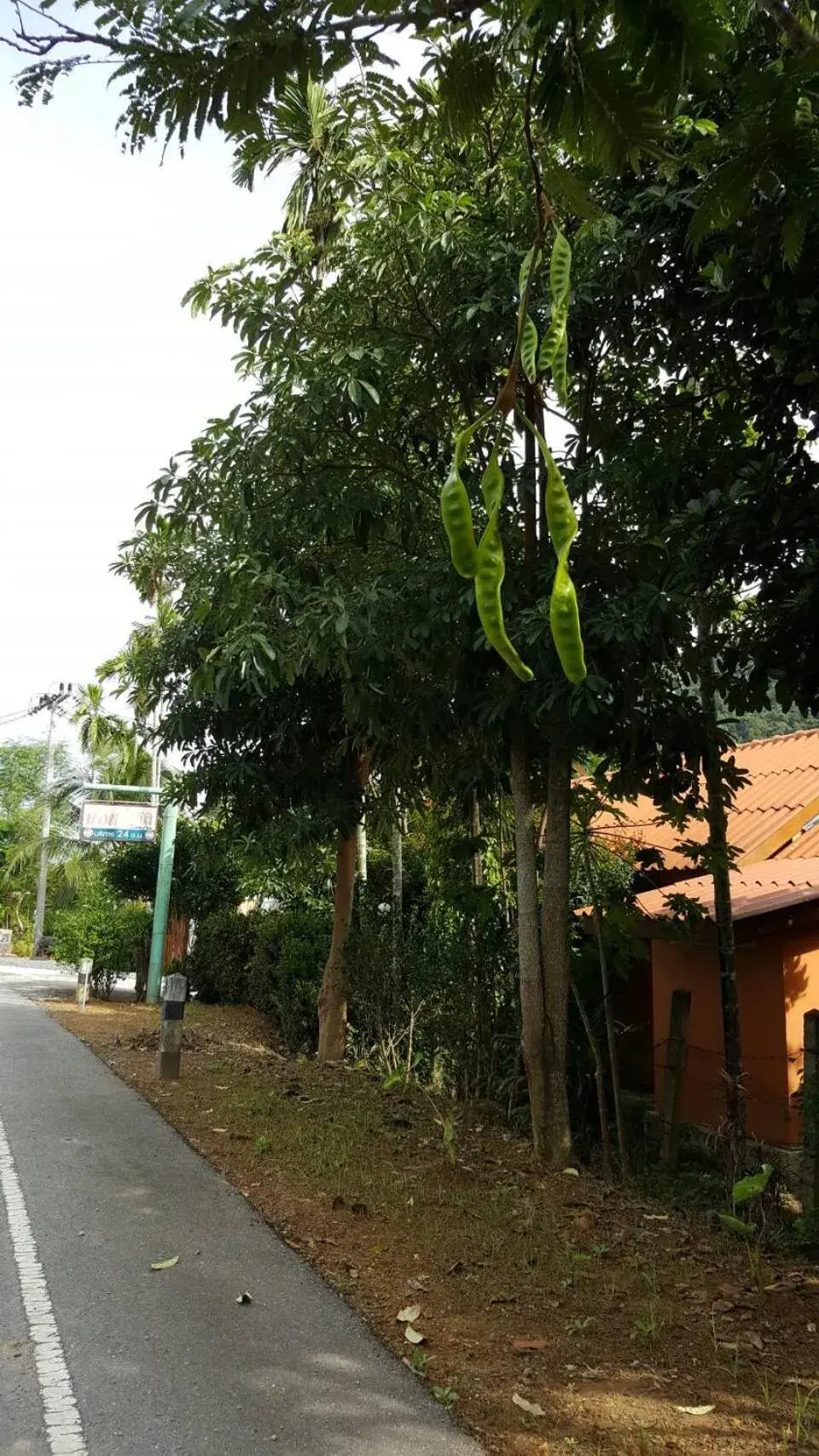 Facade/entrance in At Sichon Resort Facade/entrance in At Sichon Resort
