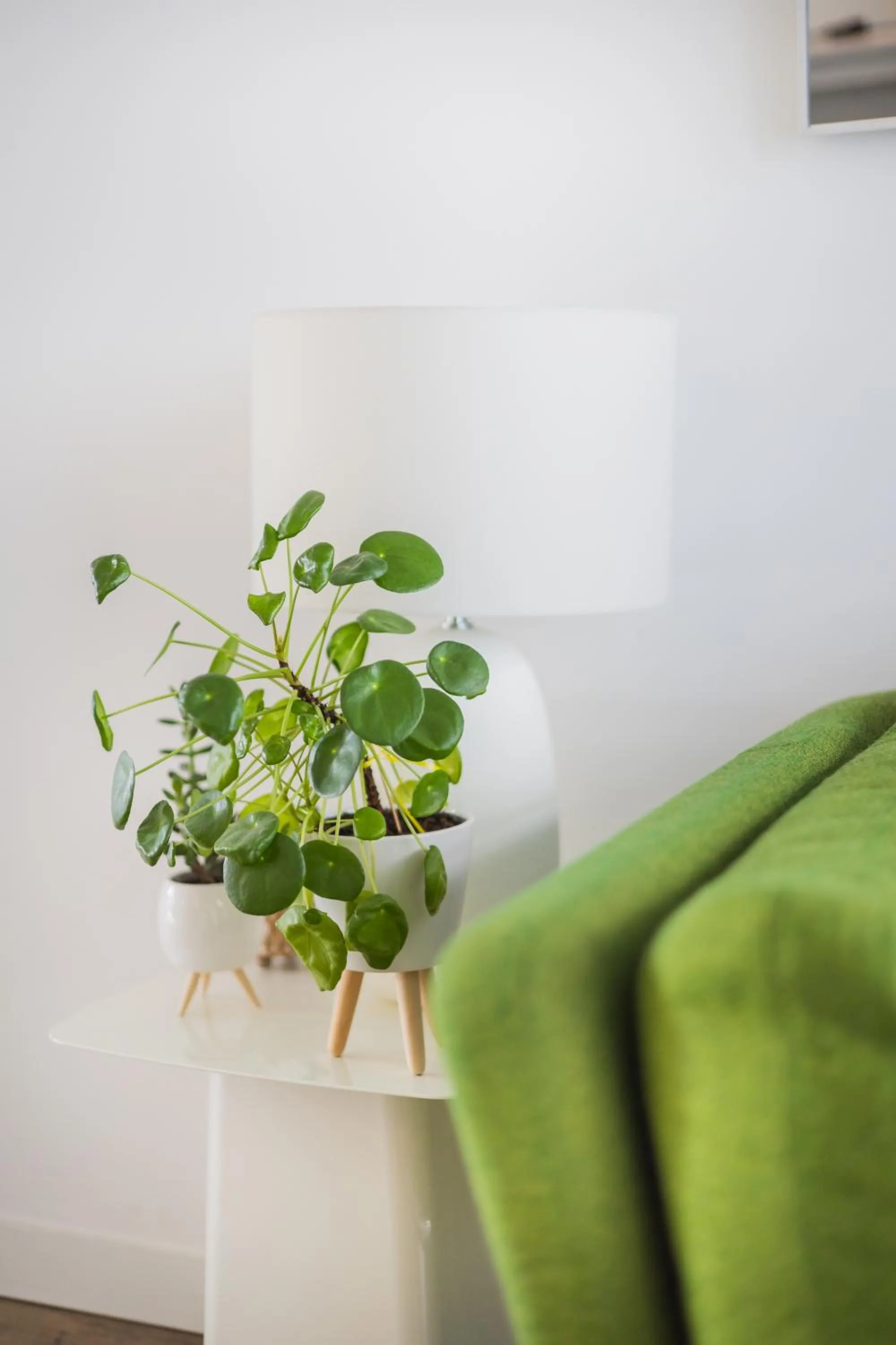 Property building in Base Nyon