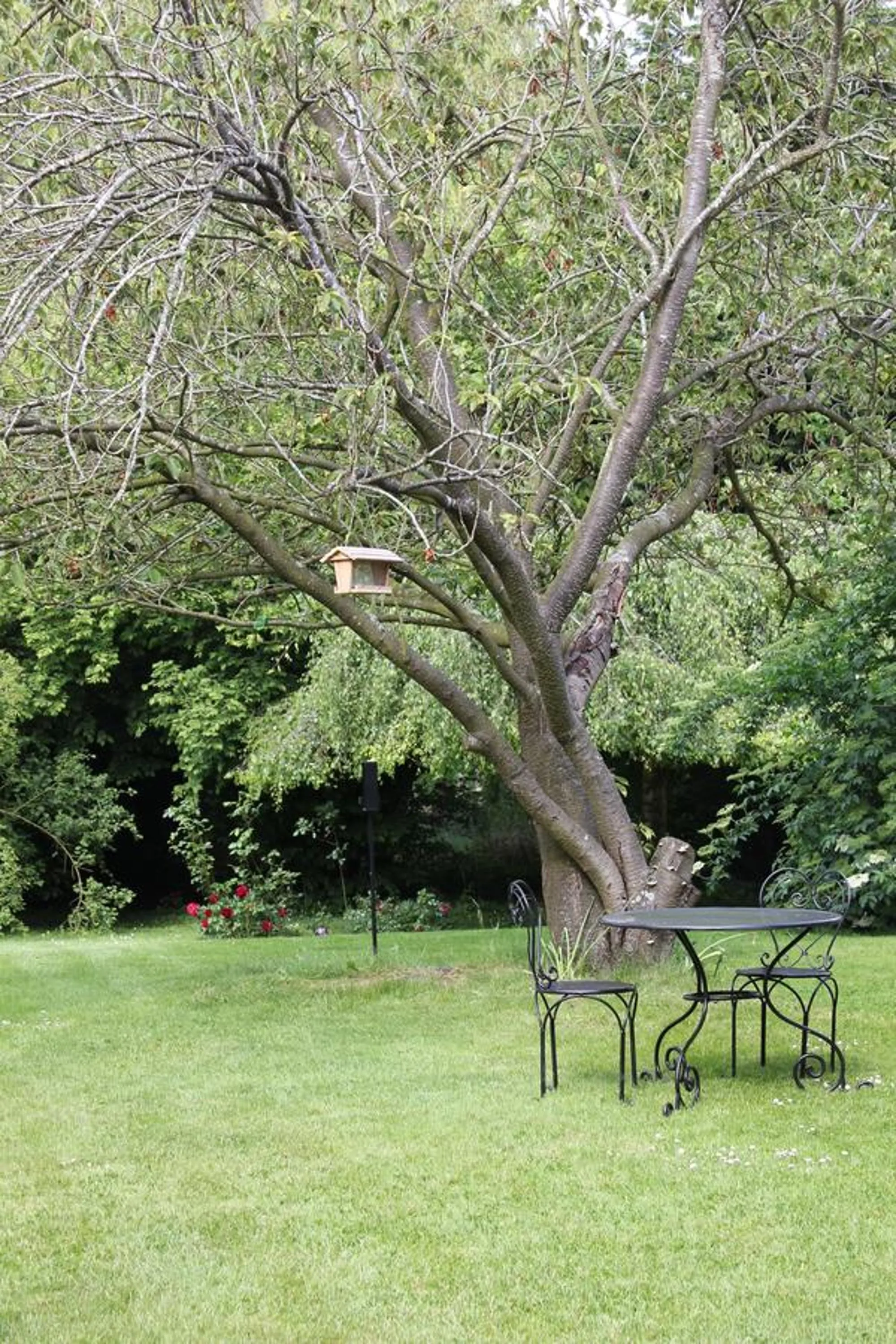Garden view in L'Heure Bleue gîtes et chambres d'hôtes