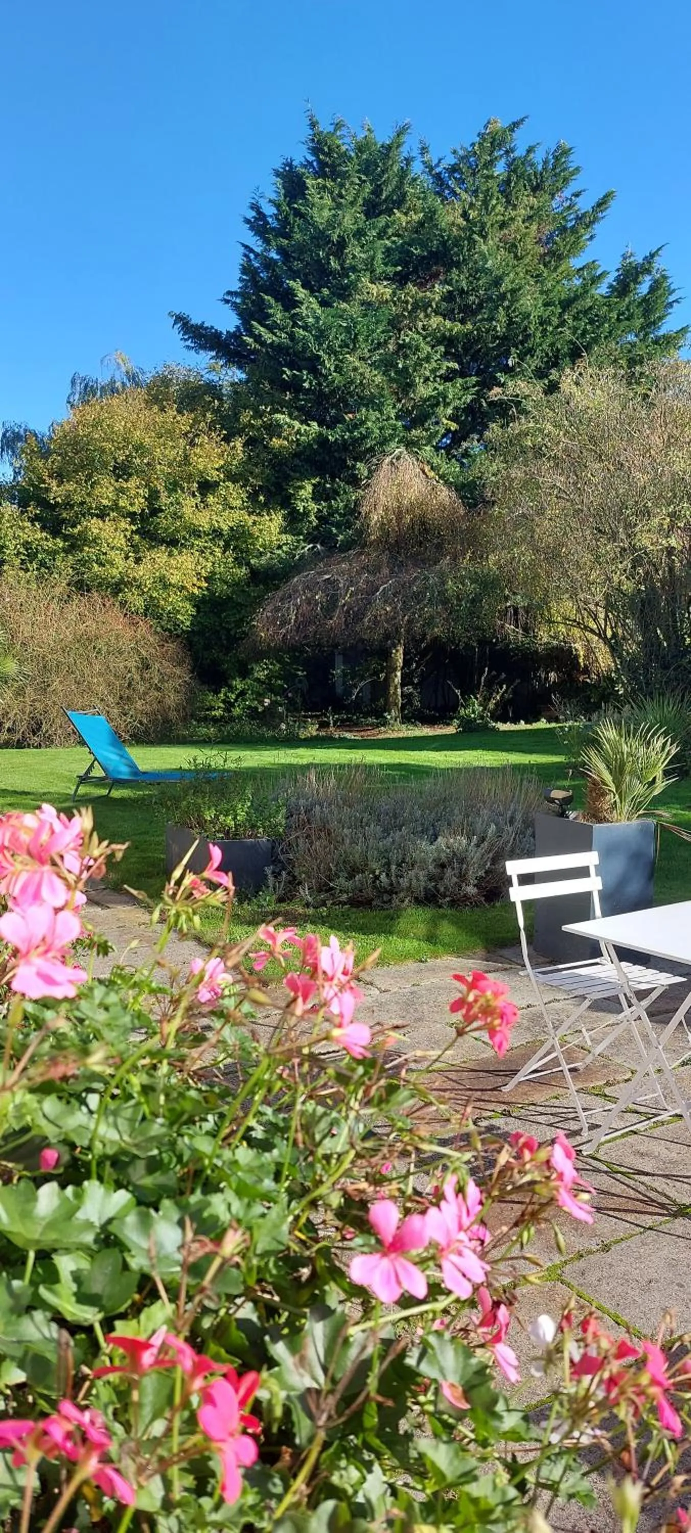 Garden in L'Heure Bleue gîtes et chambres d'hôtes