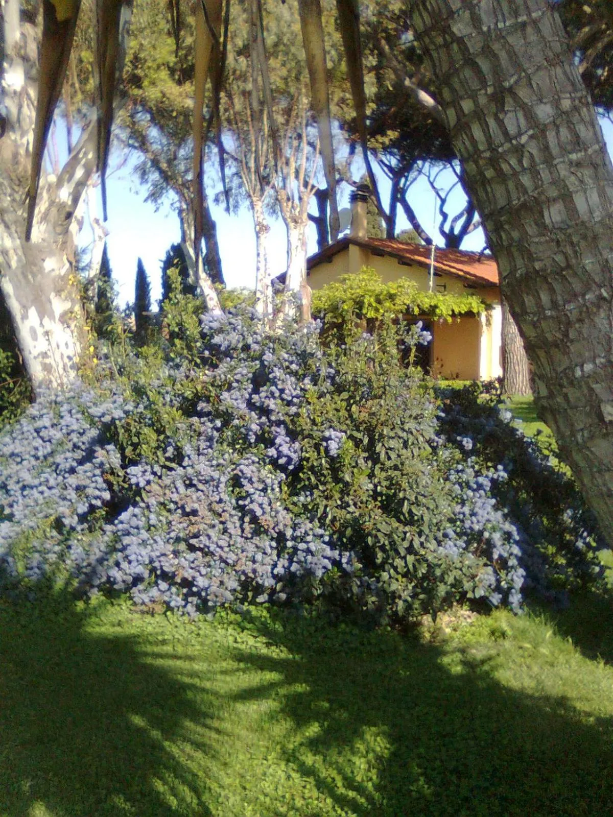 Casa Vacanze Vigna di Valle