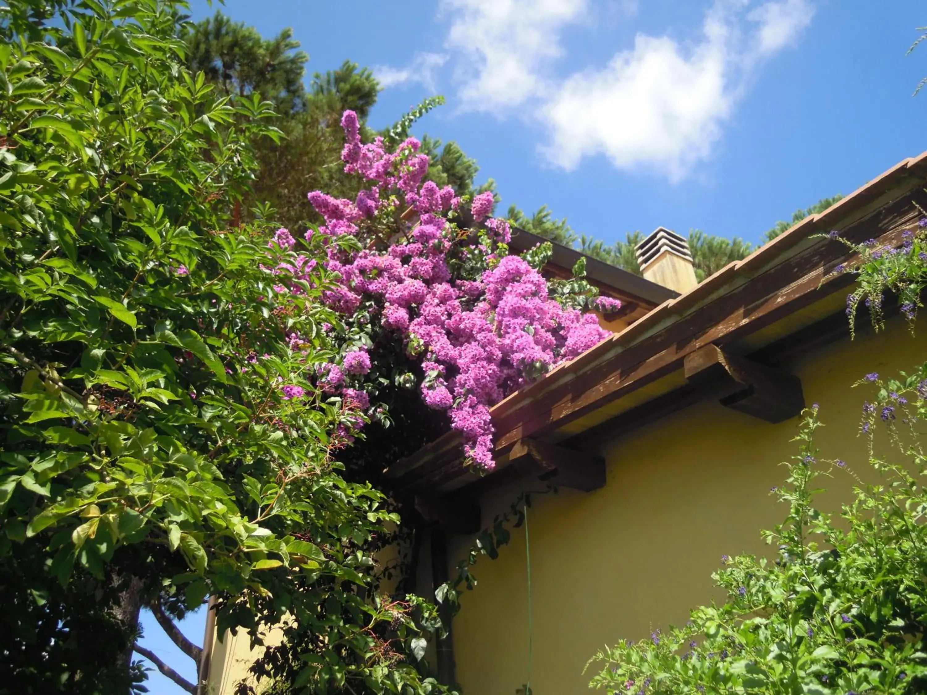 Double Room with Park View in Casa Vacanze Vigna di Valle Double Room with Park View in Casa Vacanze Vigna di Valle
