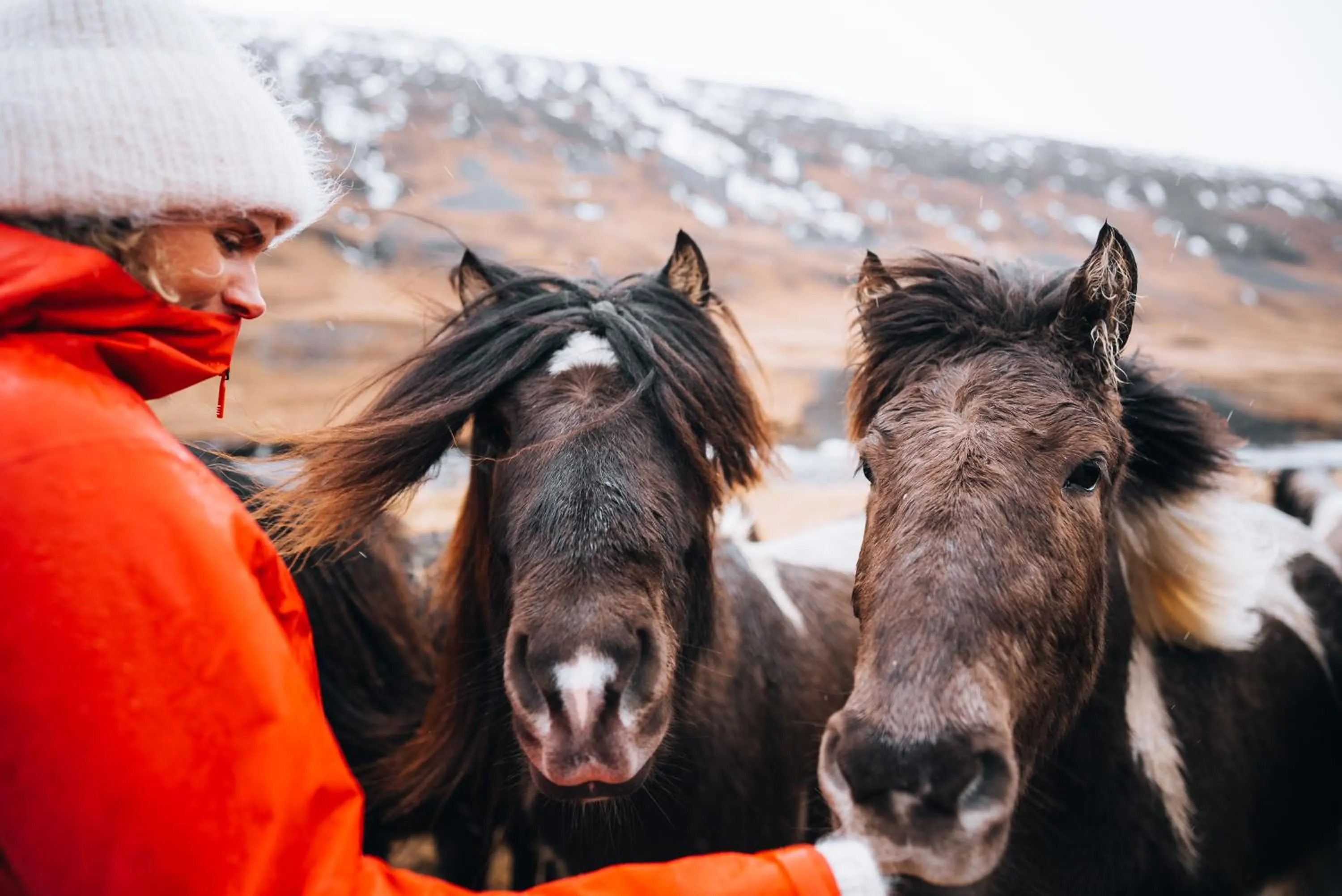 Horse-riding in Wilderness Center / Óbyggðasetur Íslands