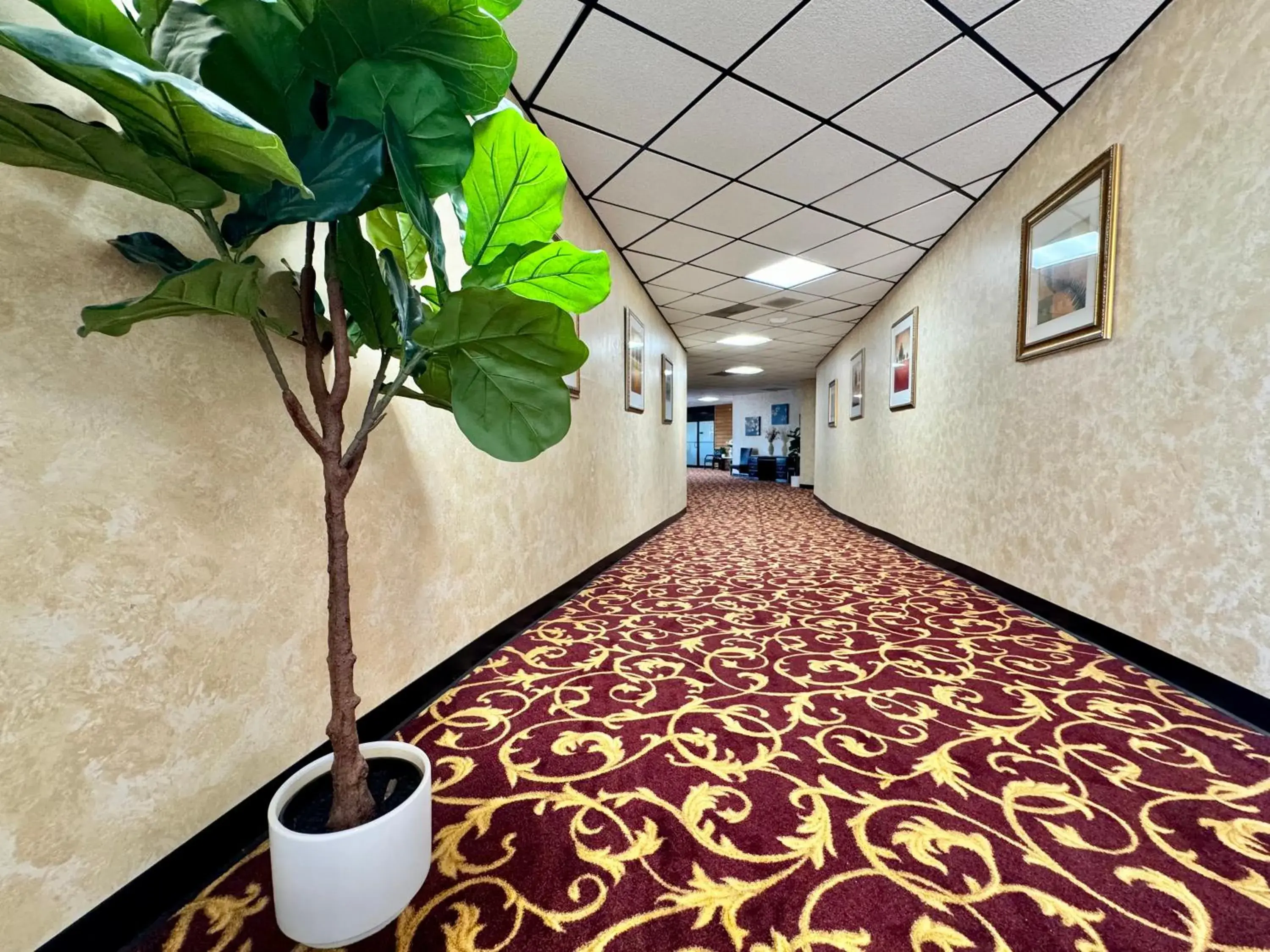 Property building in FairBridge Inn Express Hiawatha Property building in FairBridge Inn Express Hiawatha