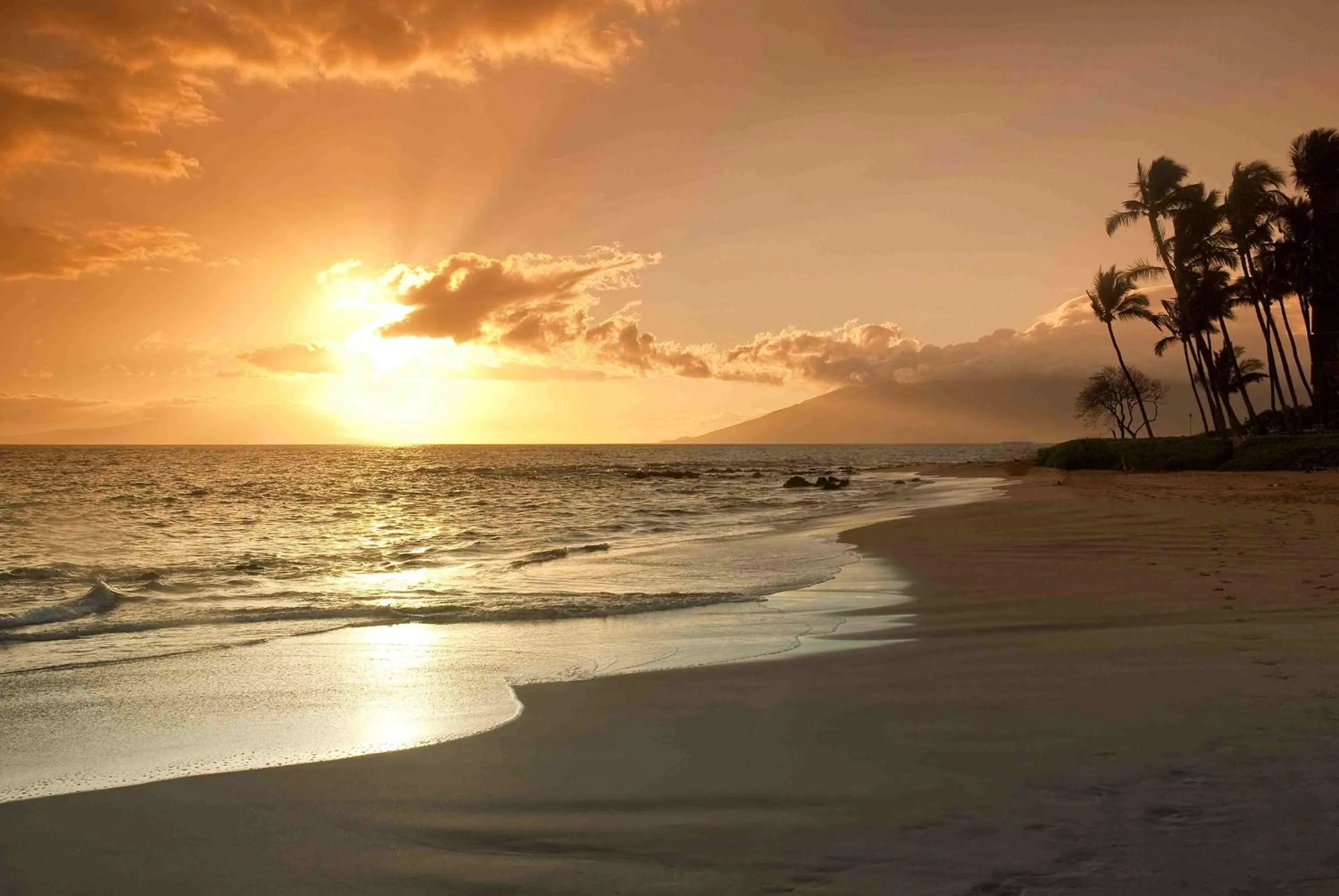Beach in Mana Kai Maui - Official Onsite Rental Company