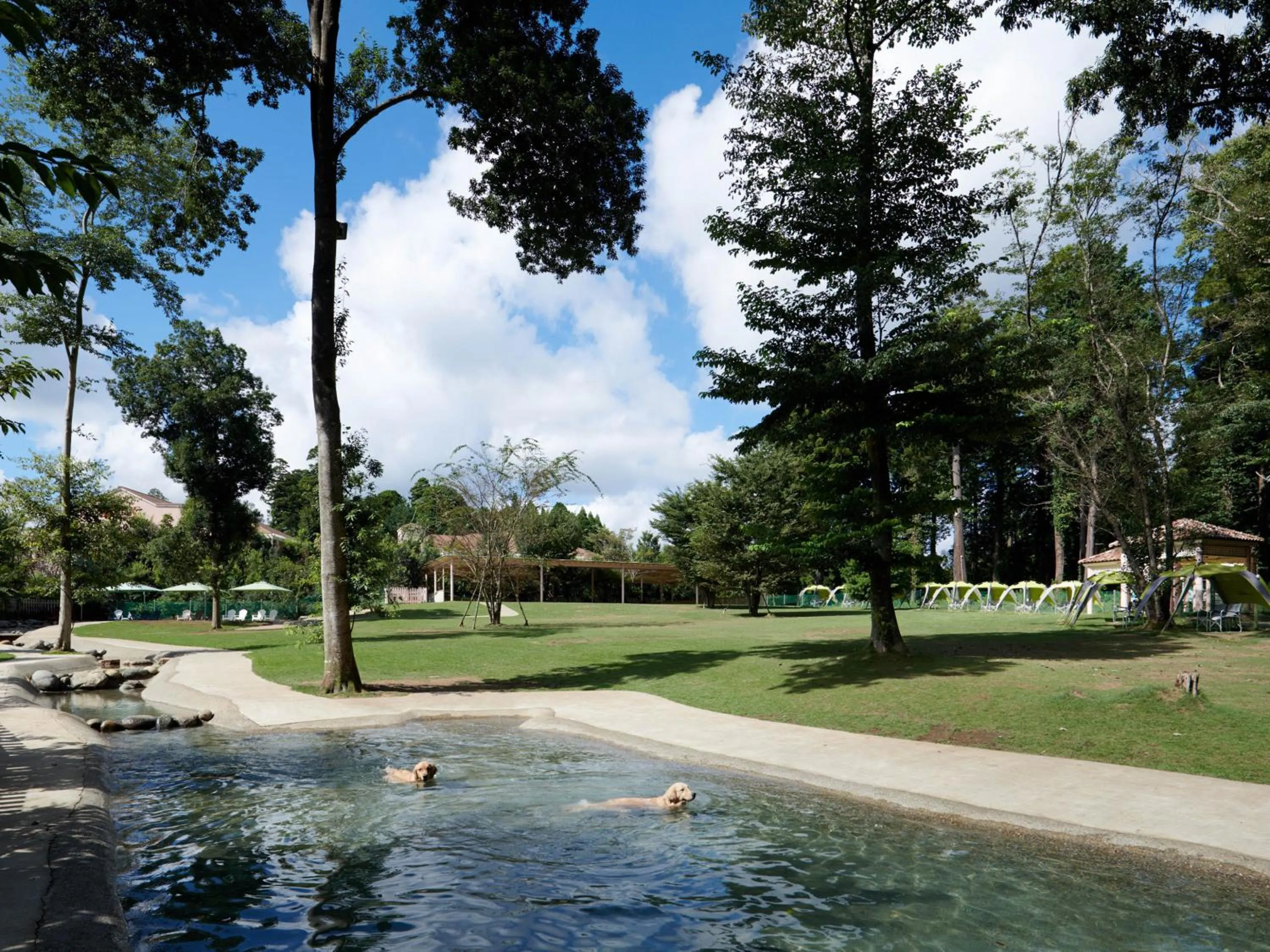 Garden in Koyaru-no-sato Doggys Island