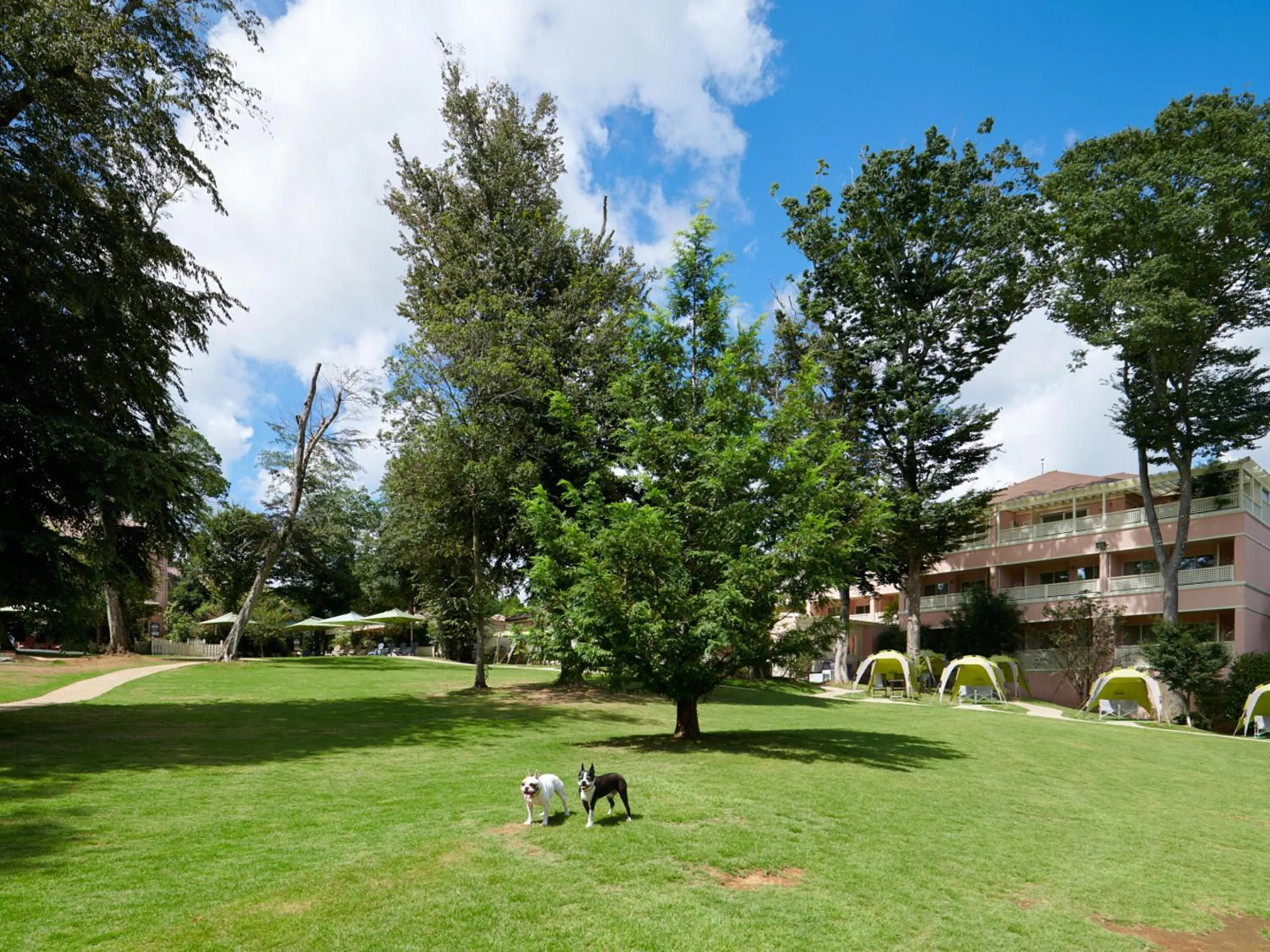 Garden in Koyaru-no-sato Doggys Island