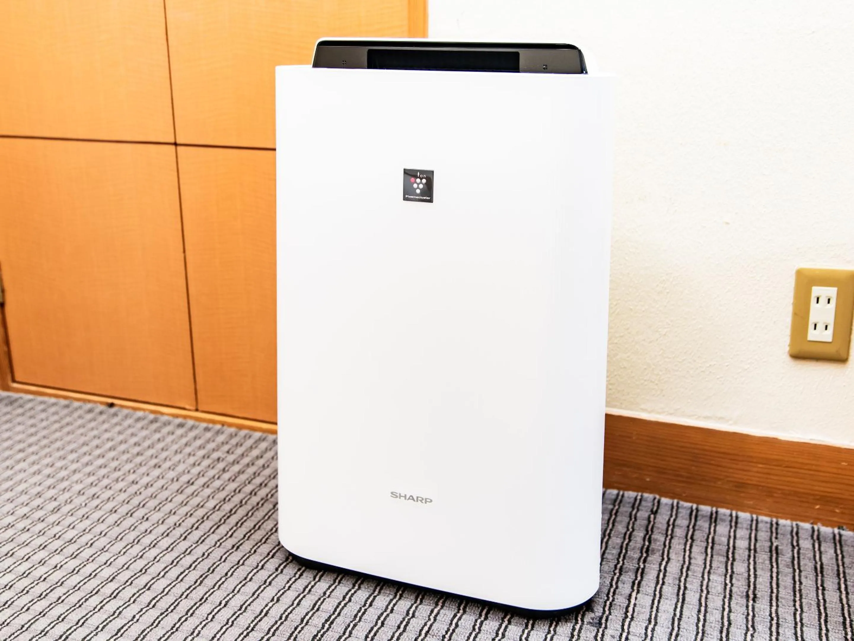 furniture in Kirishima Momijidani Seiryuso