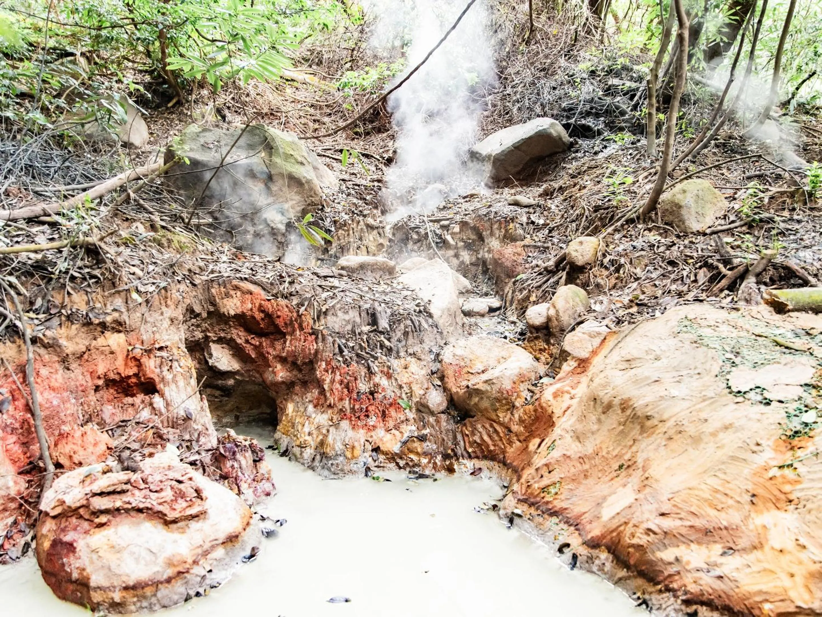 Natural landscape in Kirishima Momijidani Seiryuso