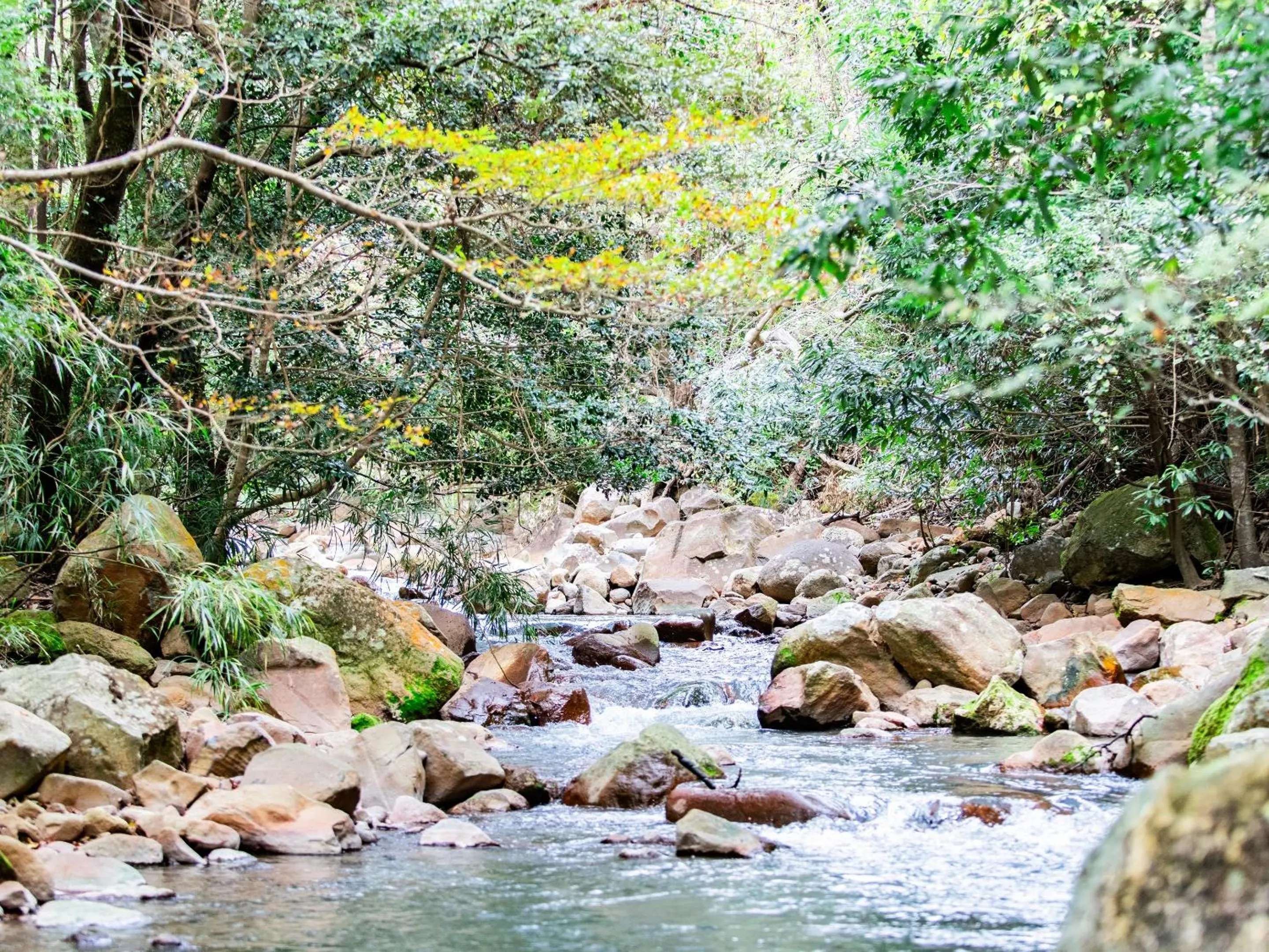 Natural landscape in Kirishima Momijidani Seiryuso