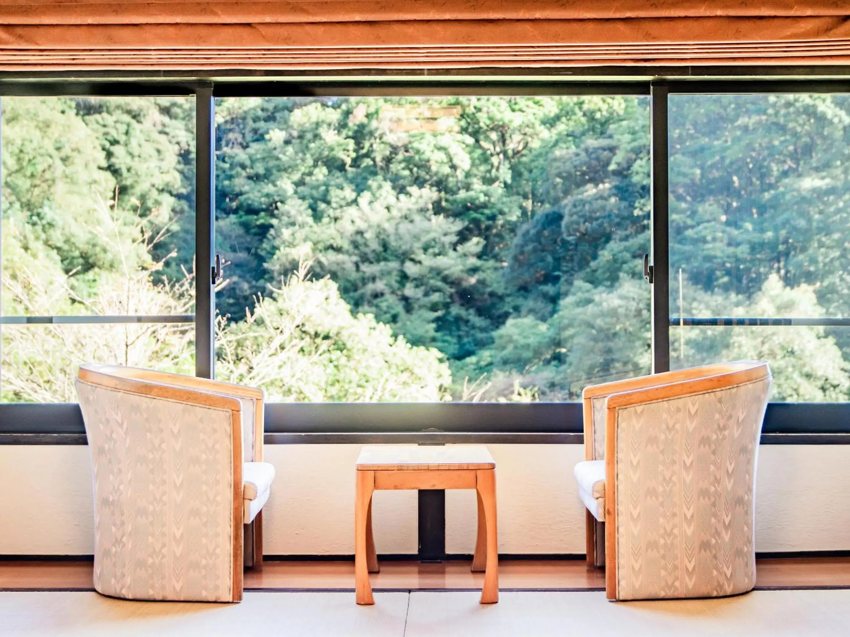 View (from property/room) in Kirishima Momijidani Seiryuso View (from property/room) in Kirishima Momijidani Seiryuso