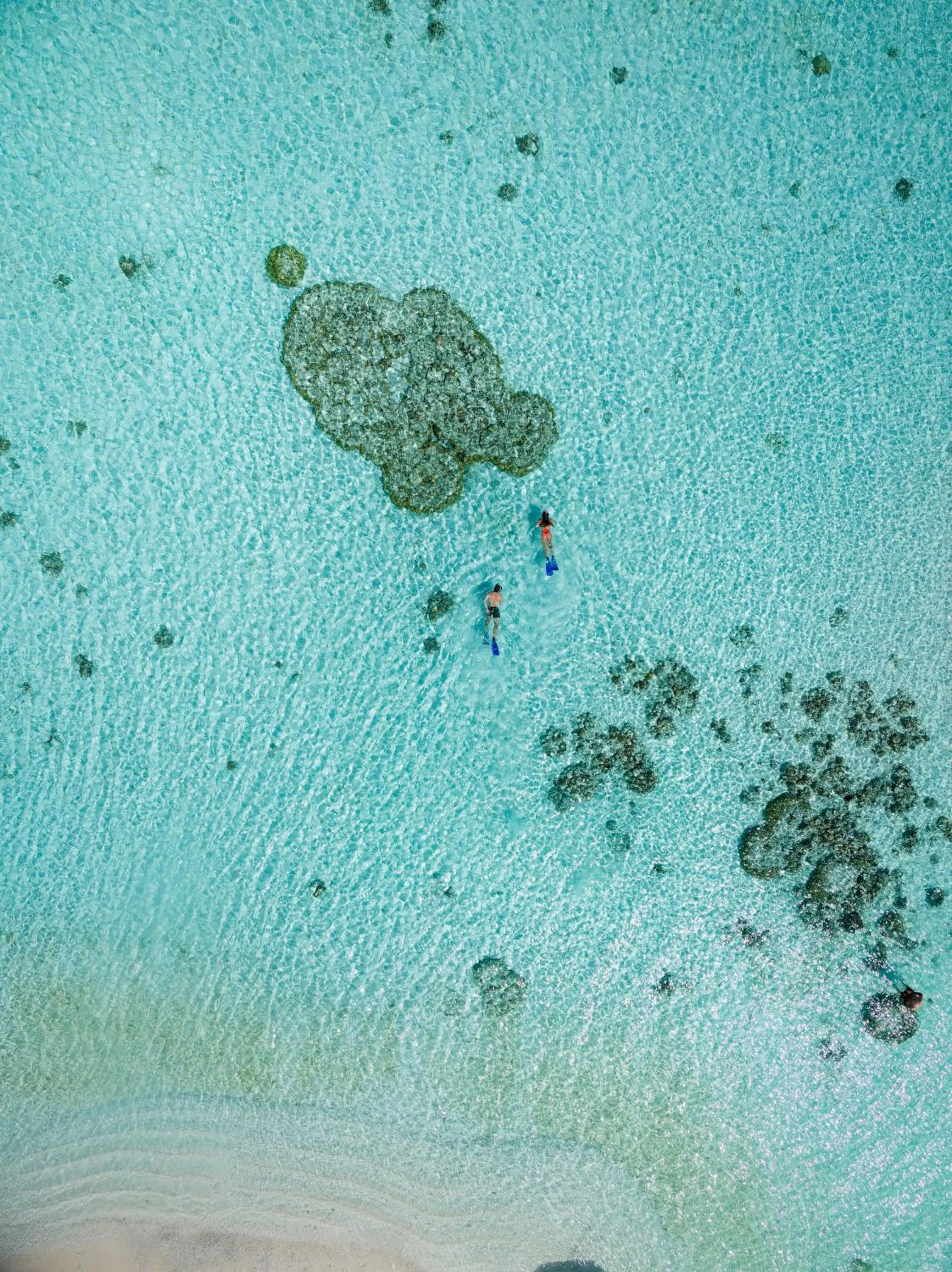 Snorkeling in Canareef Resort Maldives
