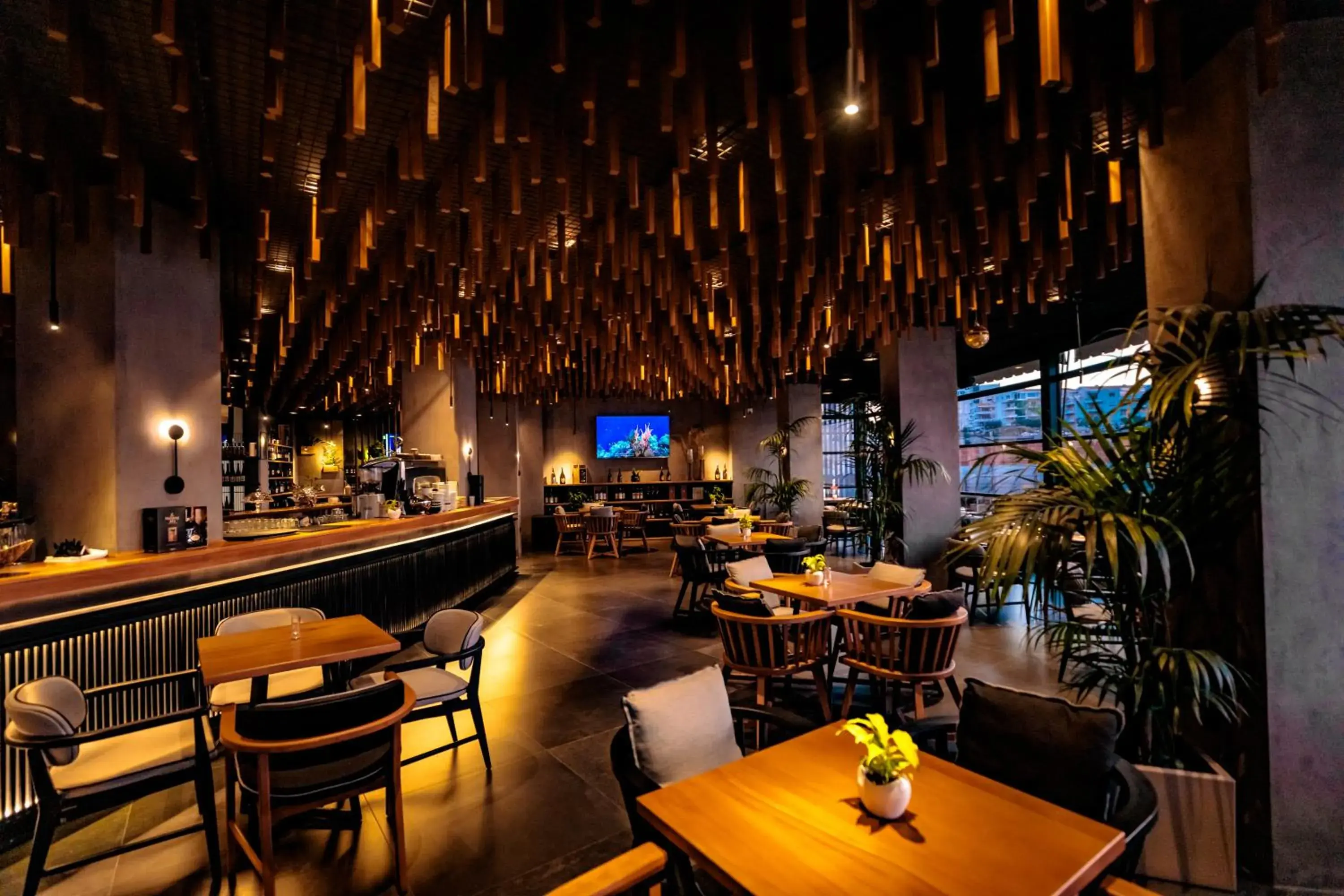 Restaurant/places to eat in Hotel Miramare Restaurant/places to eat in Hotel Miramare