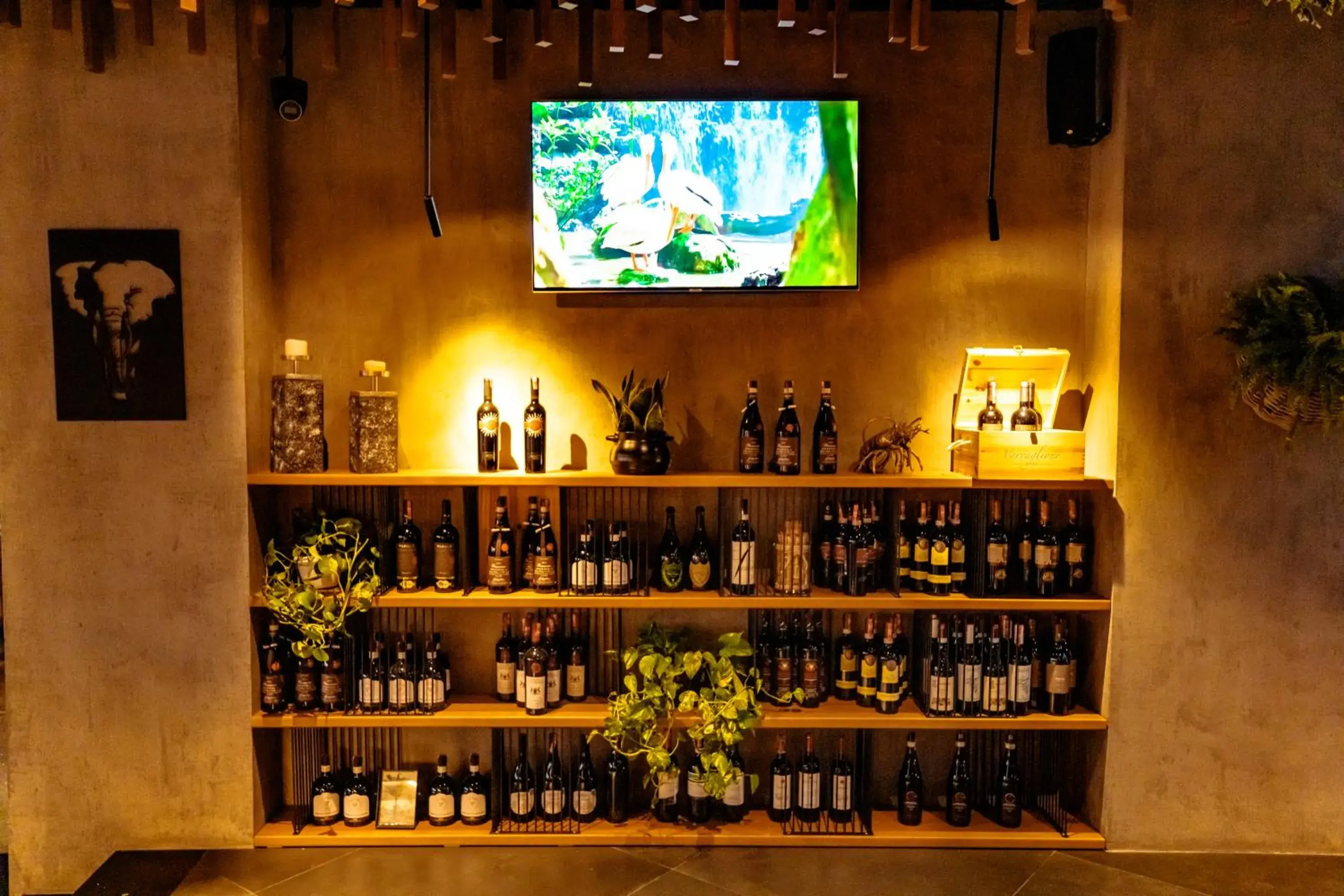 Restaurant/places to eat in Hotel Miramare Restaurant/places to eat in Hotel Miramare