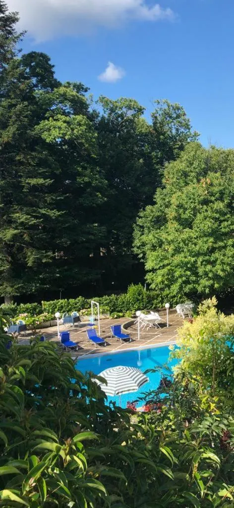 Garden view in Mondial Park Hotel