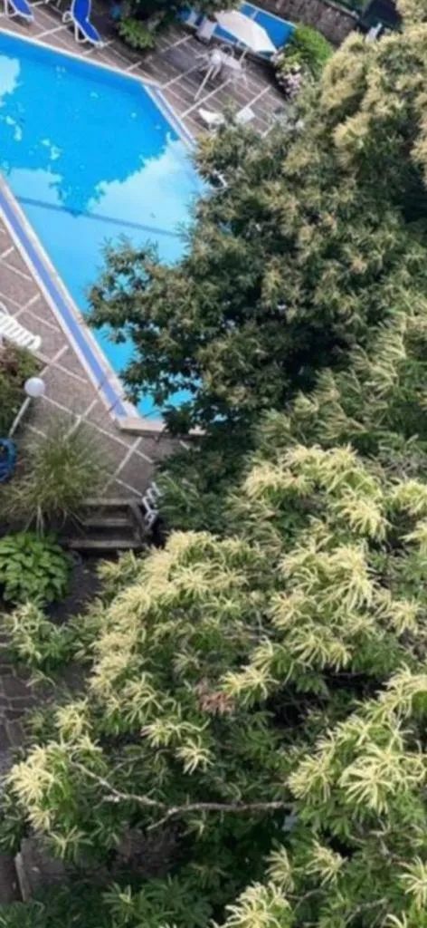 Swimming pool in Mondial Park Hotel
