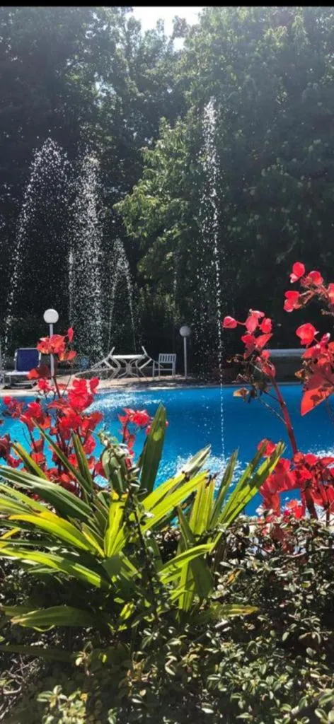 Garden view in Mondial Park Hotel